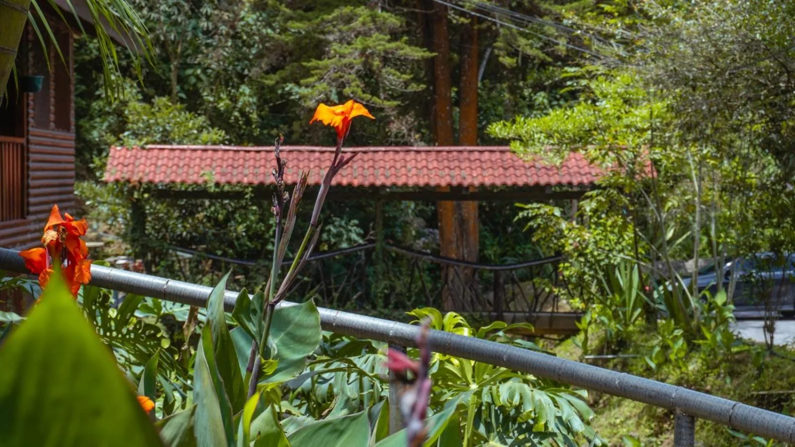 Restaurant/places to eat in Hacienda La Lucha