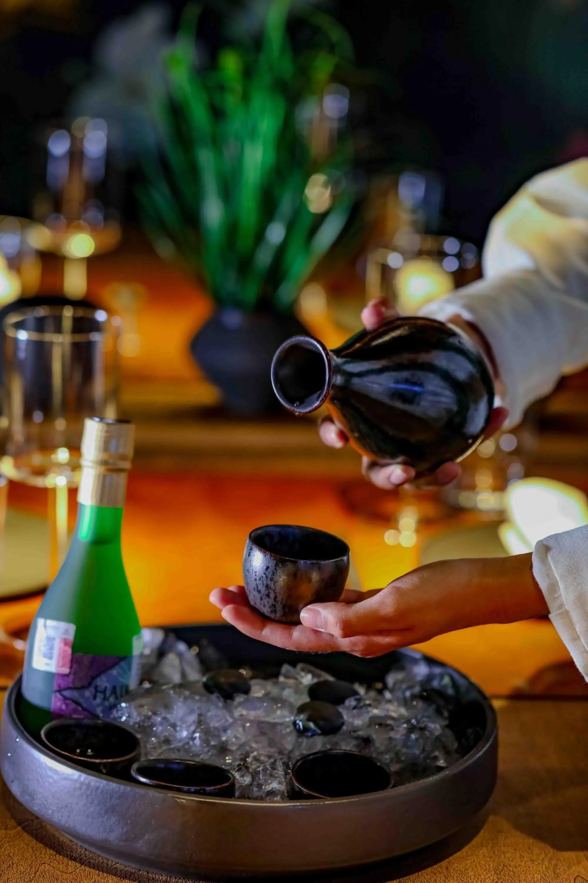 Restaurant/places to eat in Republica Pagana