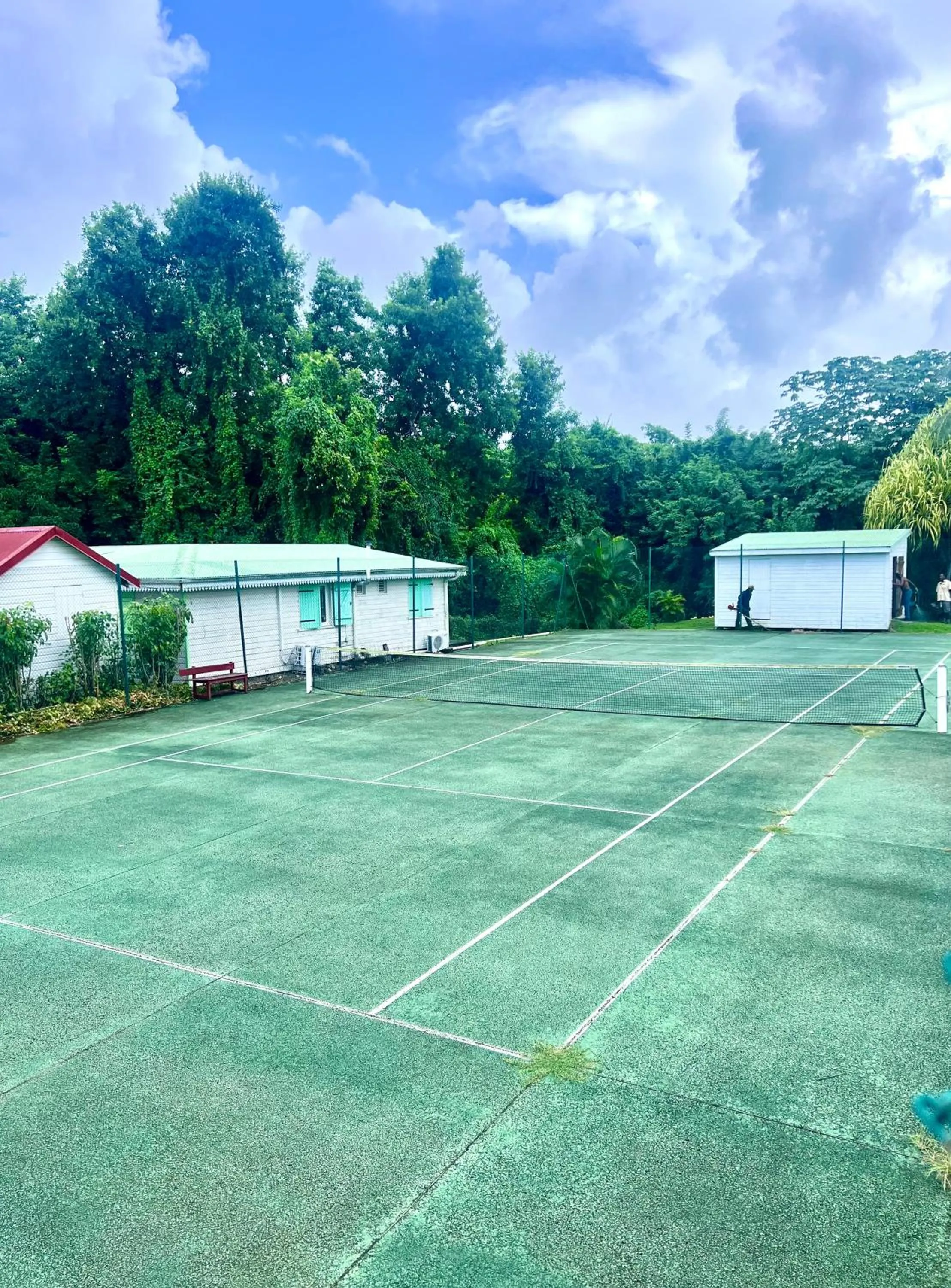 Tennis court in cœur d hibiscus
