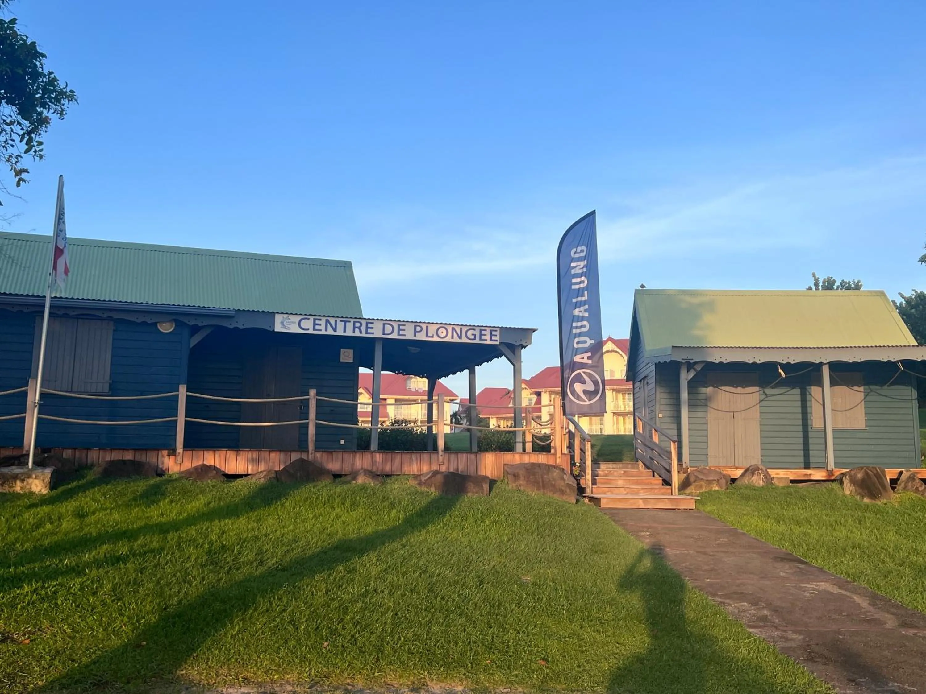 Diving in cœur d hibiscus