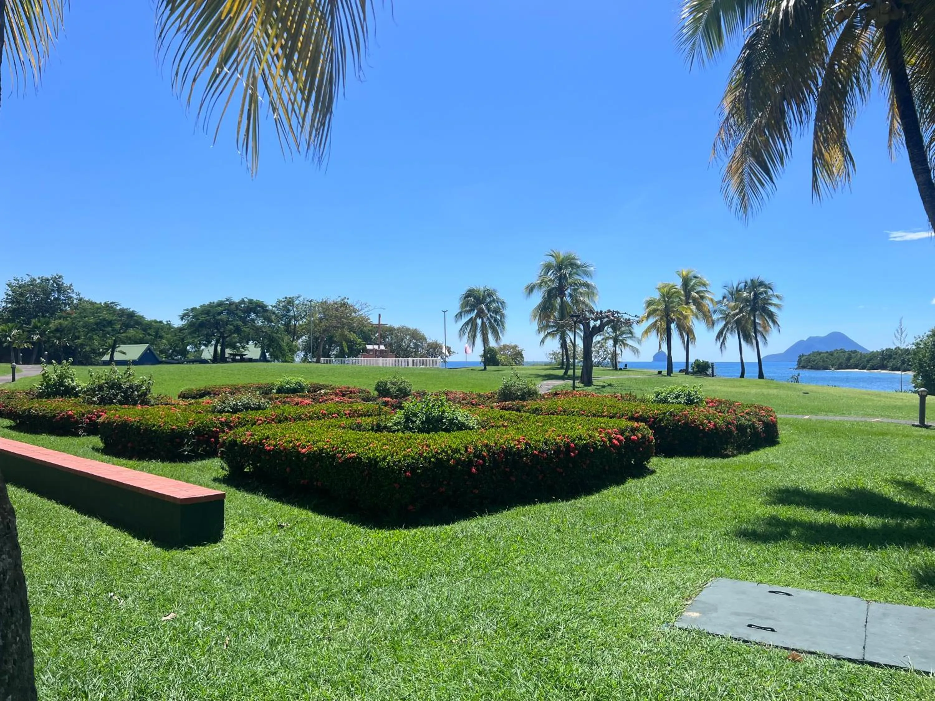Natural landscape in cœur d hibiscus