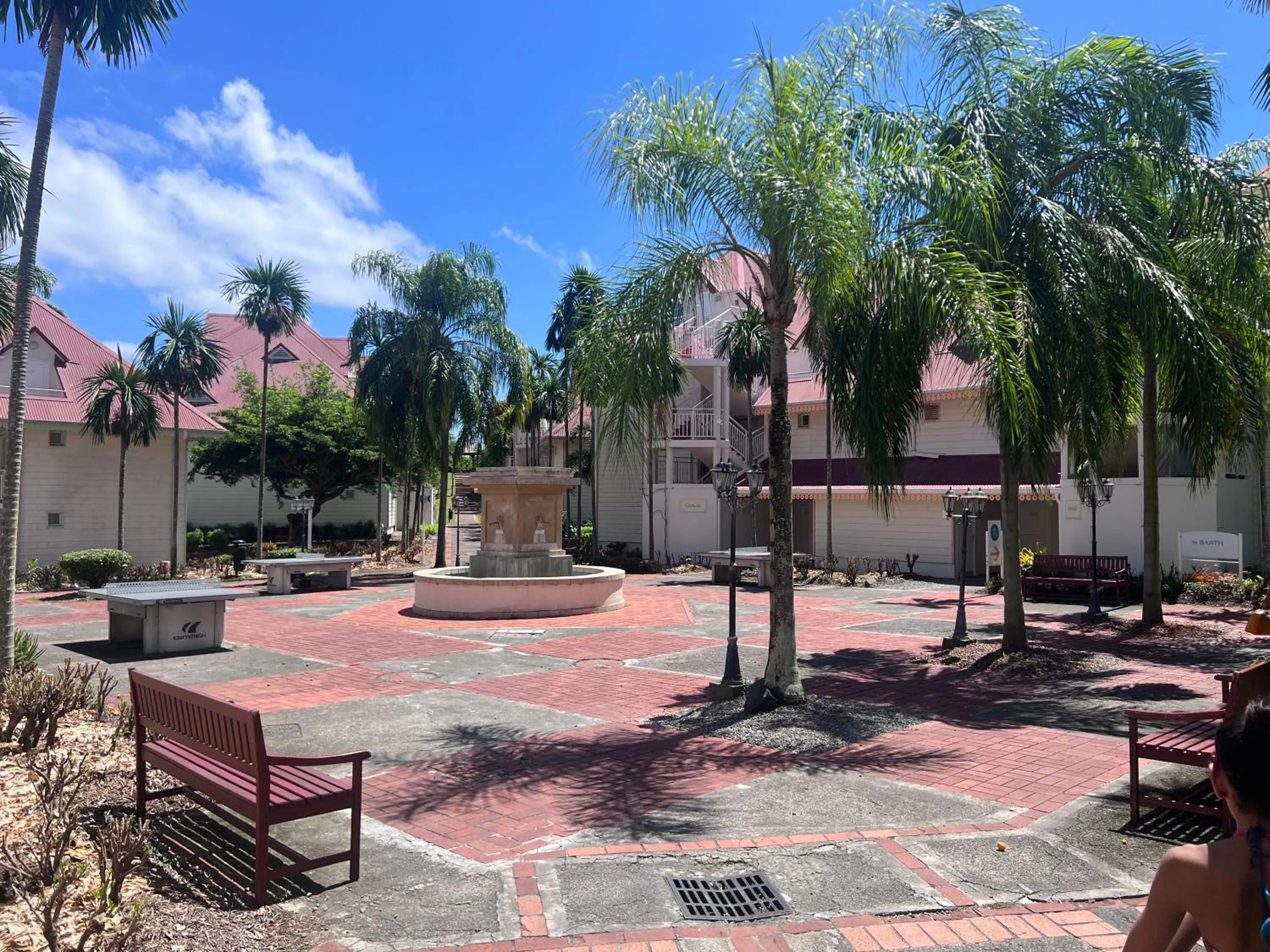 Table tennis in cœur d hibiscus