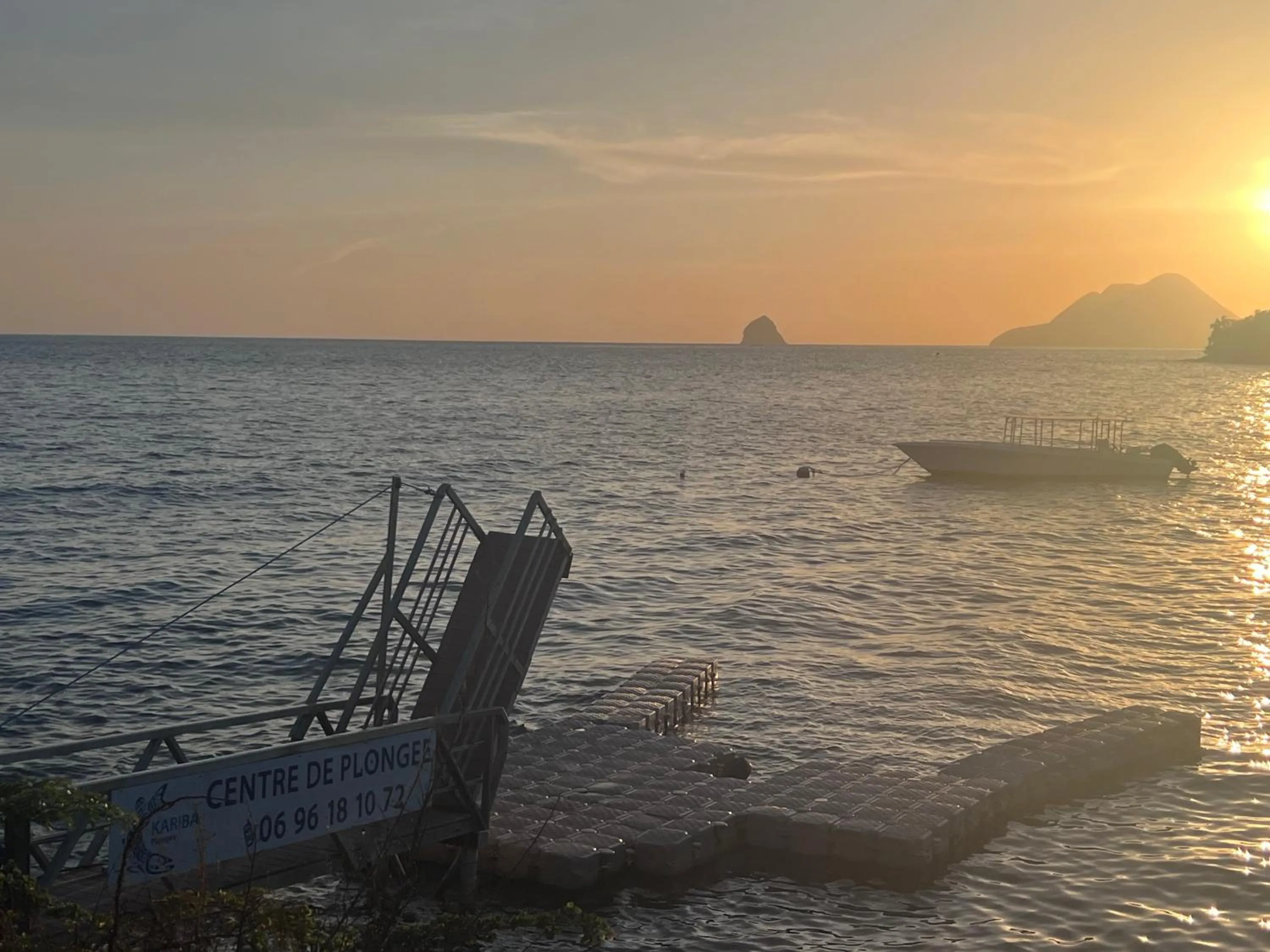 Diving in cœur d hibiscus