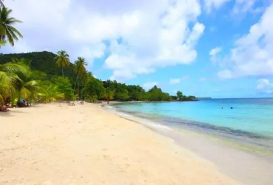Beach in cœur d hibiscus