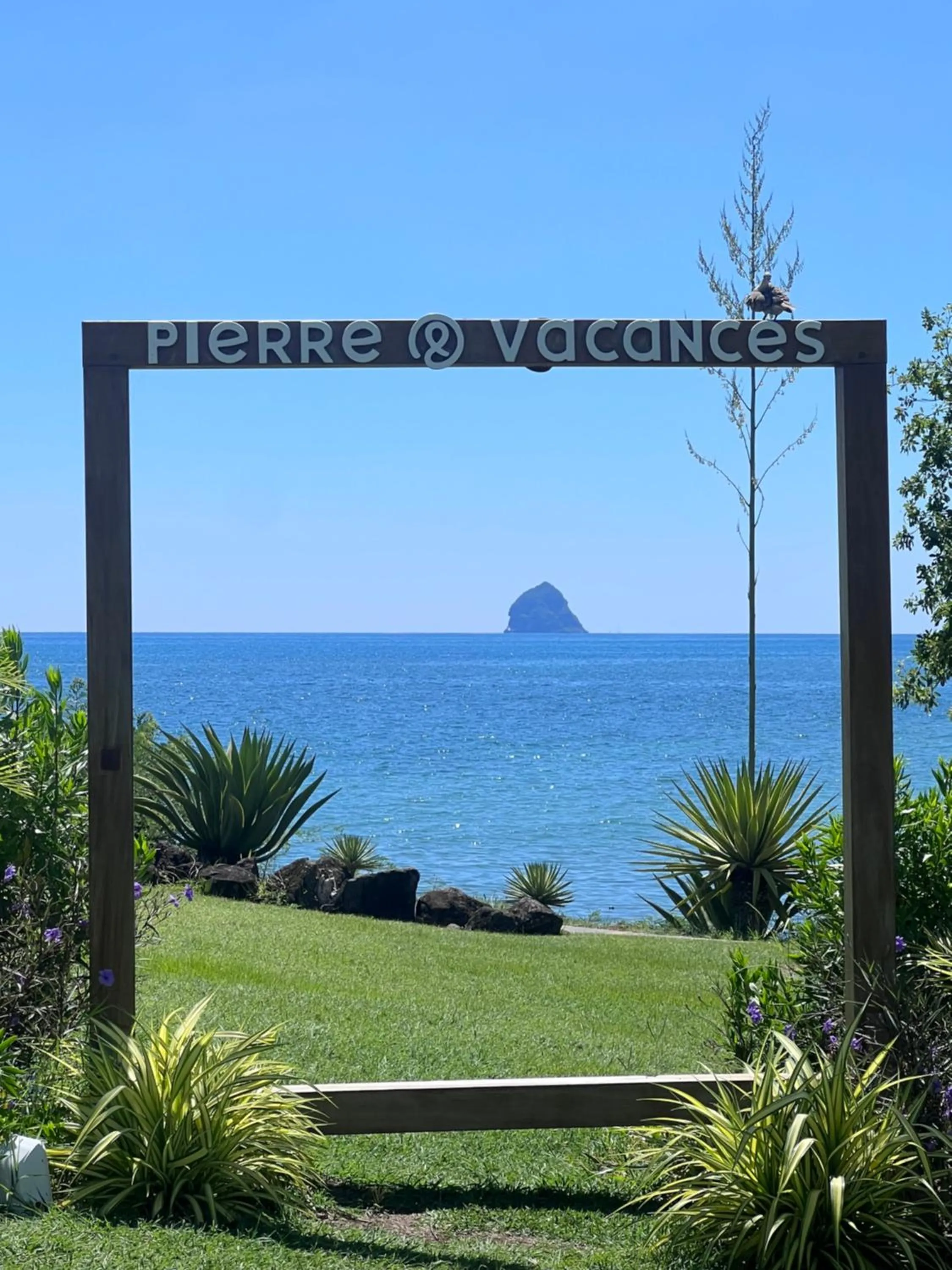 Natural landscape in cœur d hibiscus