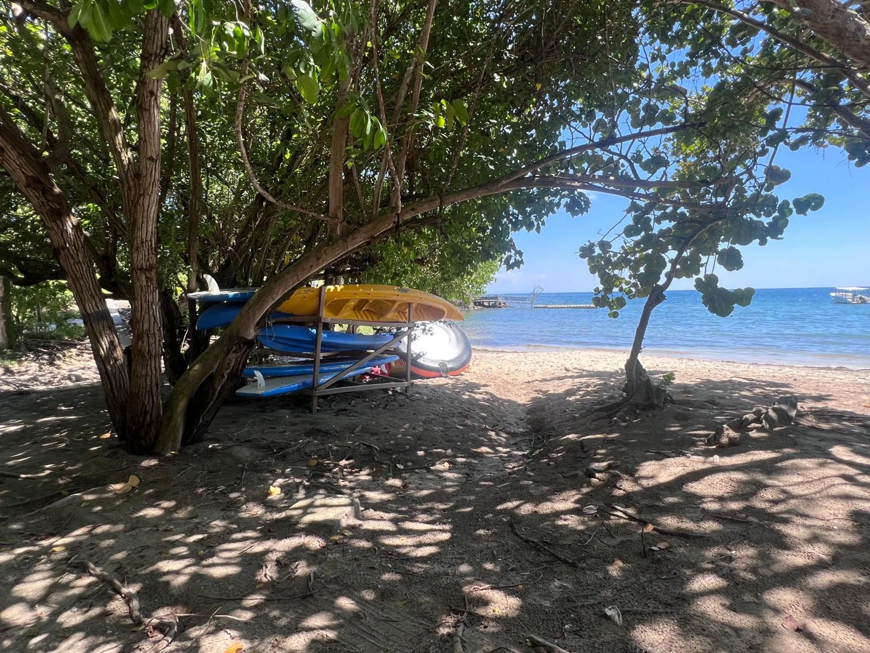 Natural landscape in cœur d hibiscus