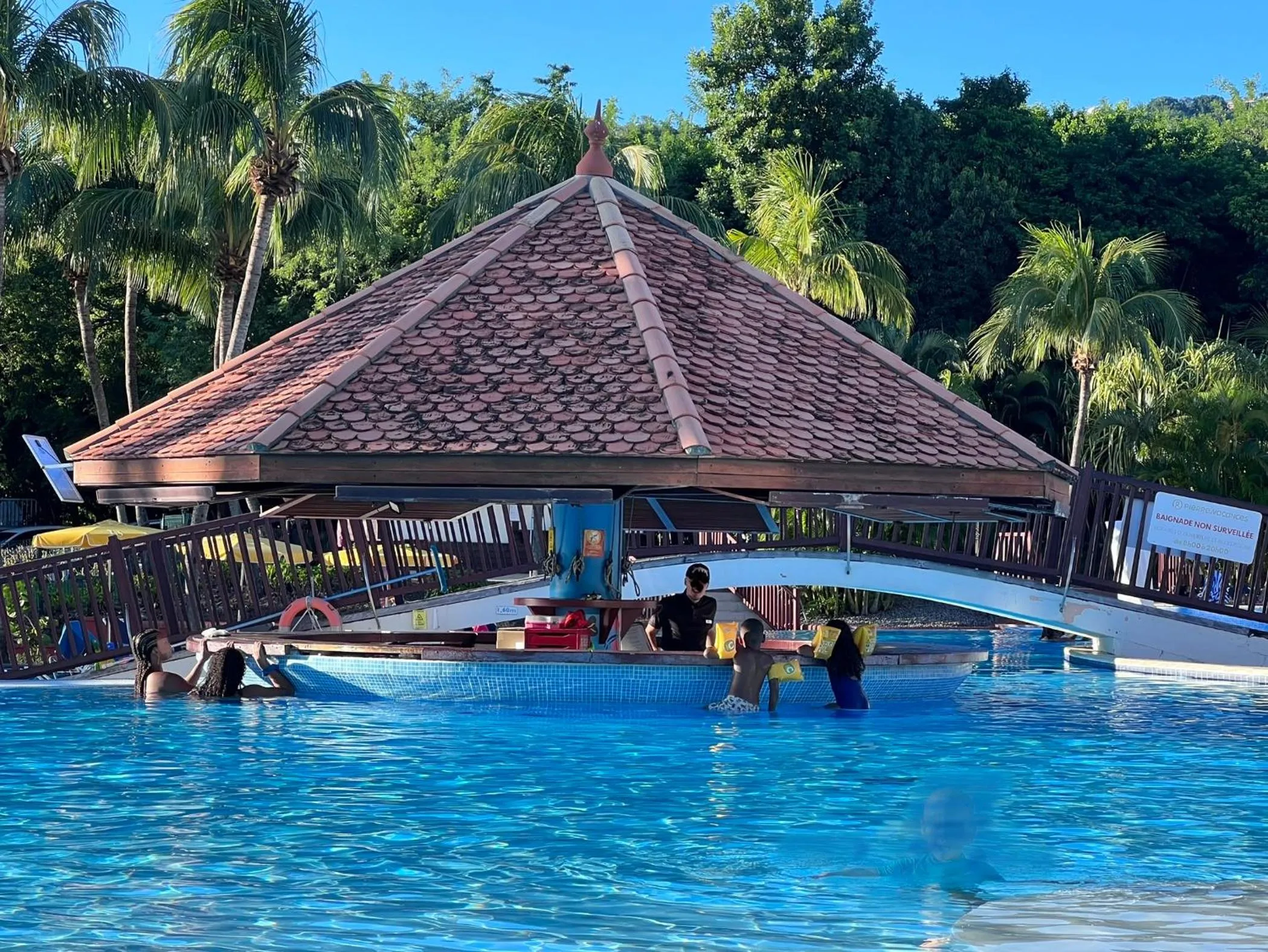 Natural landscape in cœur d hibiscus