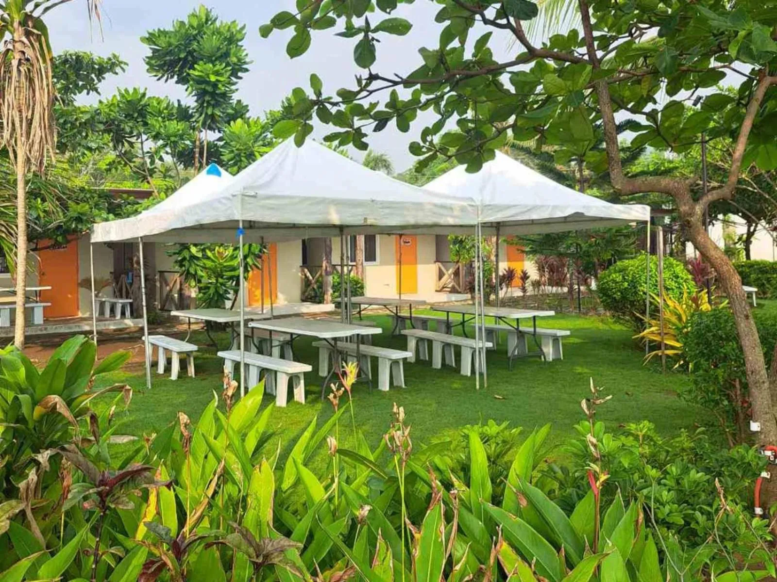 Garden view in MB Cove