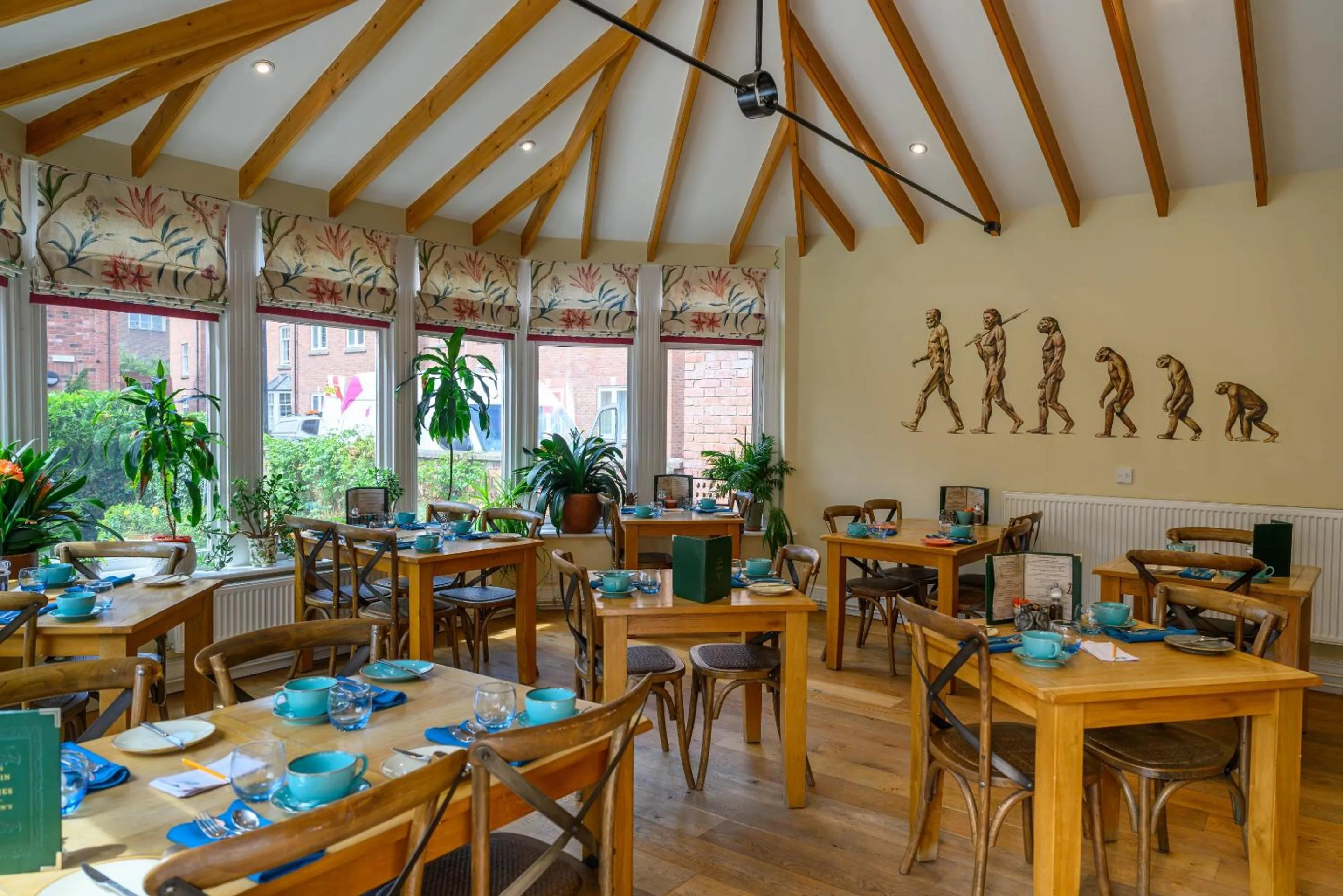 Other in Darwin's Townhouse