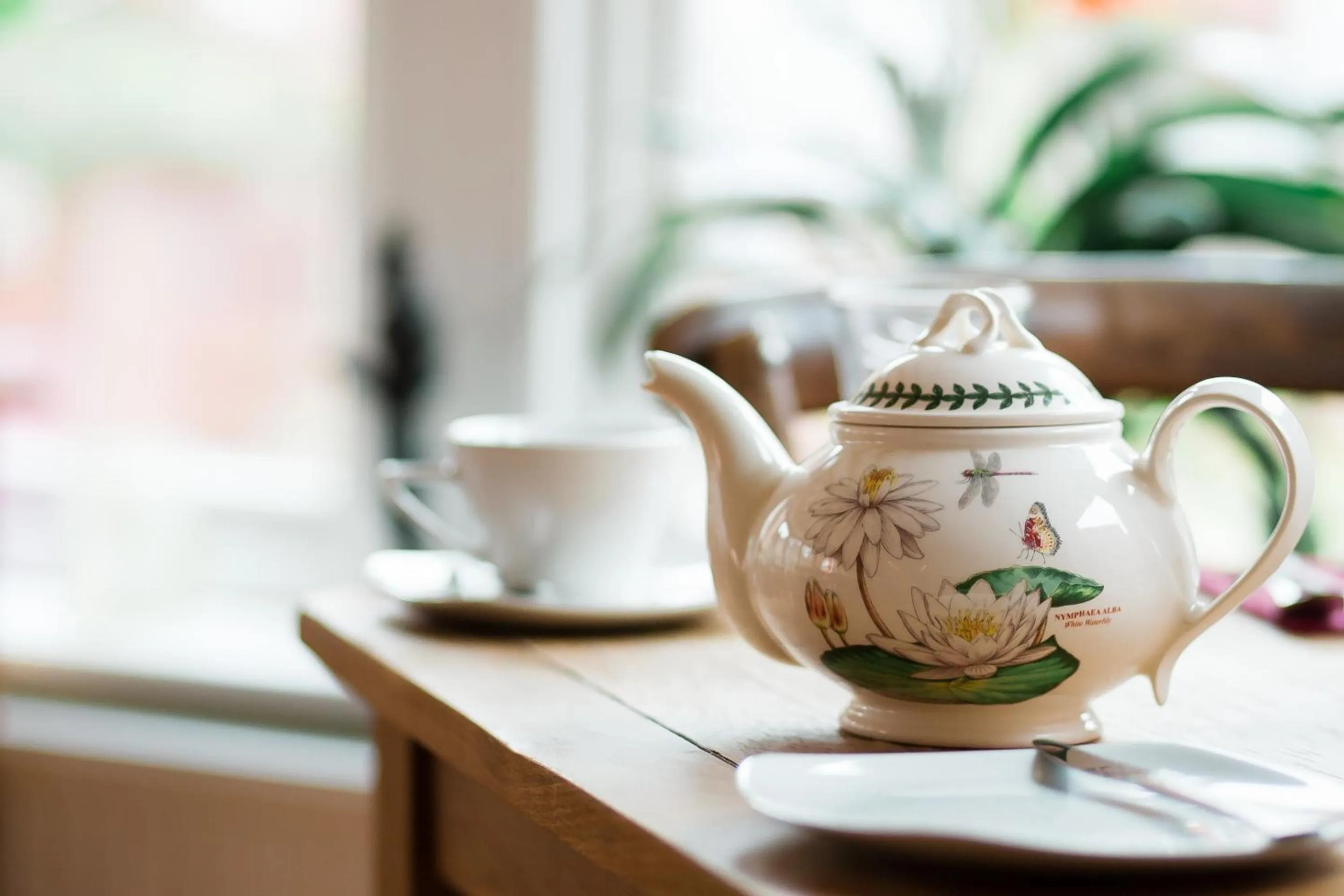 Breakfast in Darwin's Townhouse