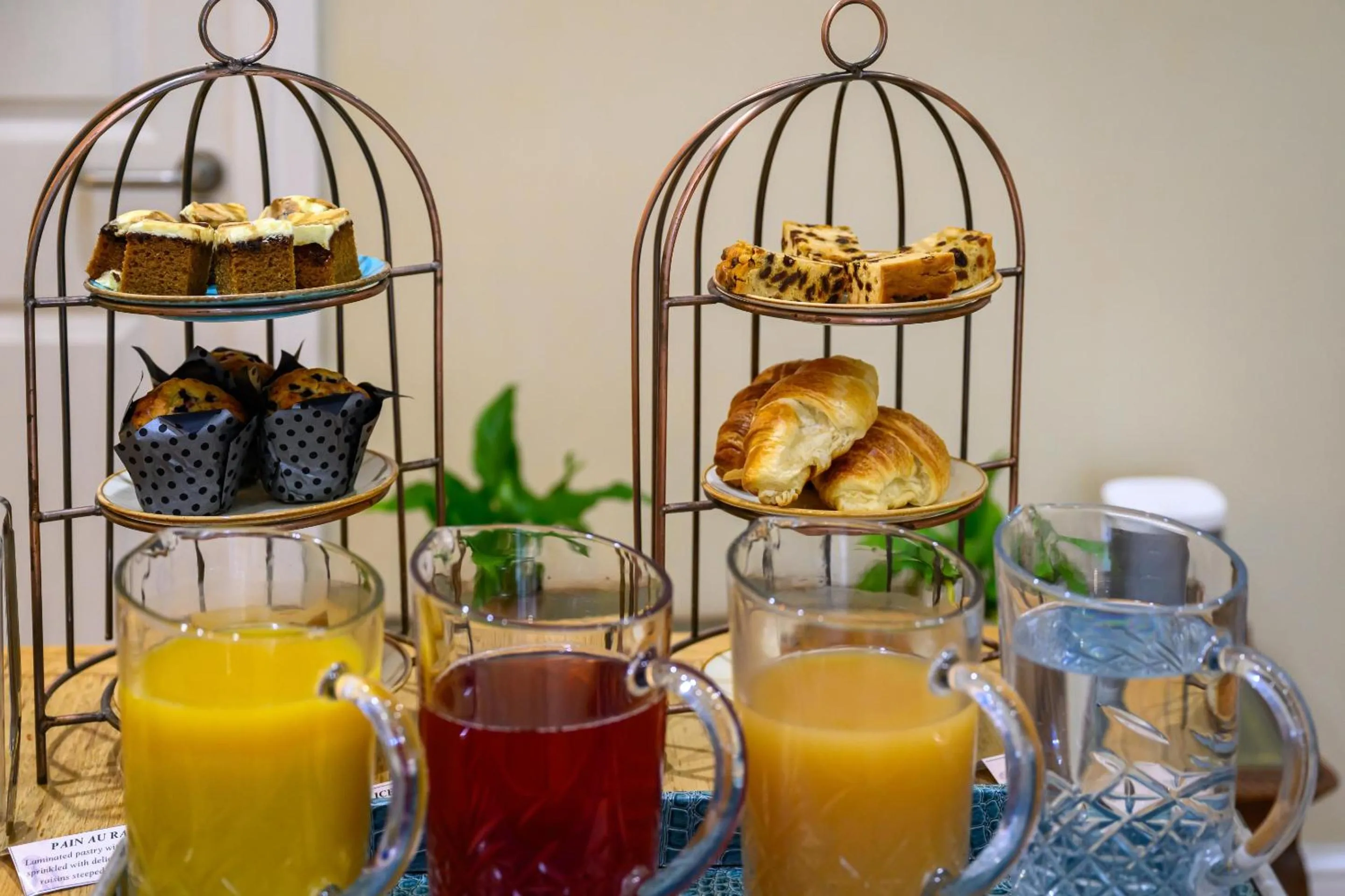 Breakfast in Darwin's Townhouse