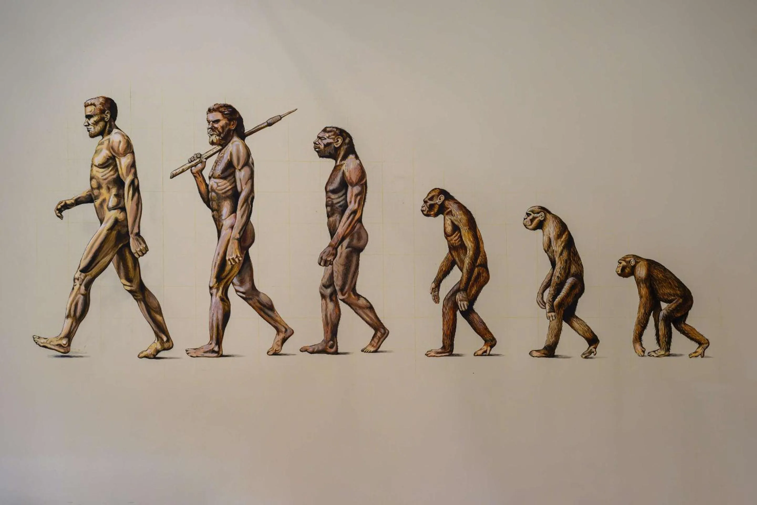 Other in Darwin's Townhouse