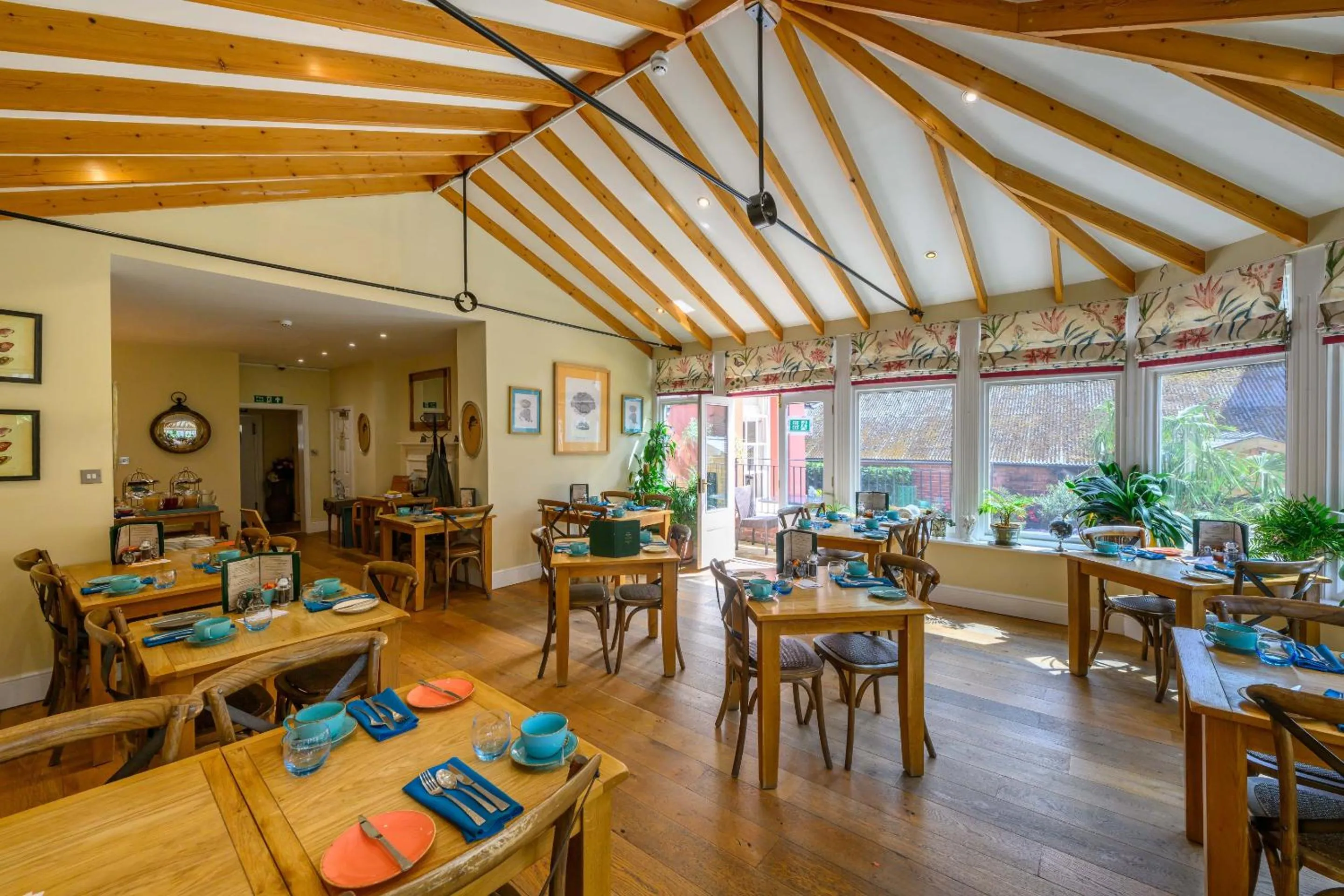 Other in Darwin's Townhouse