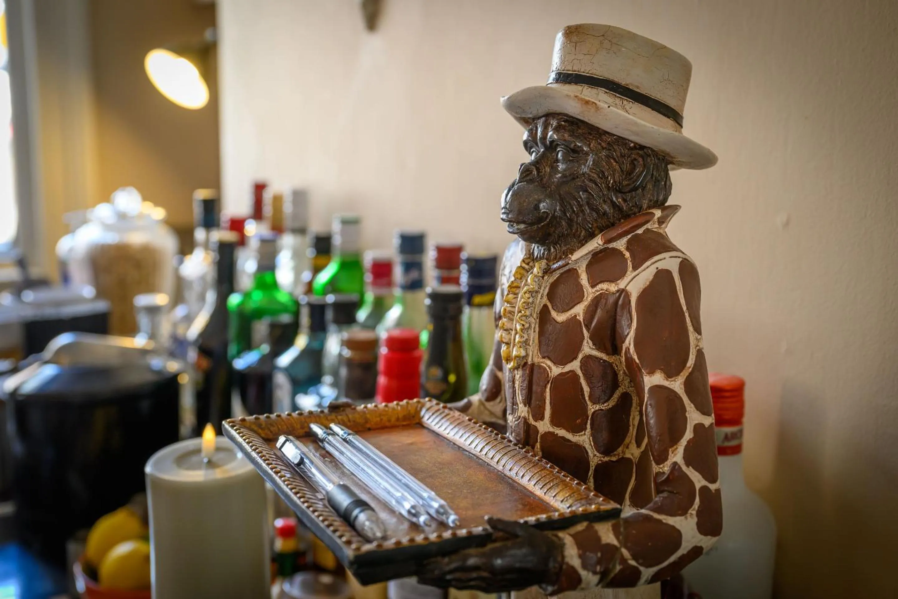 Living room in Darwin's Townhouse