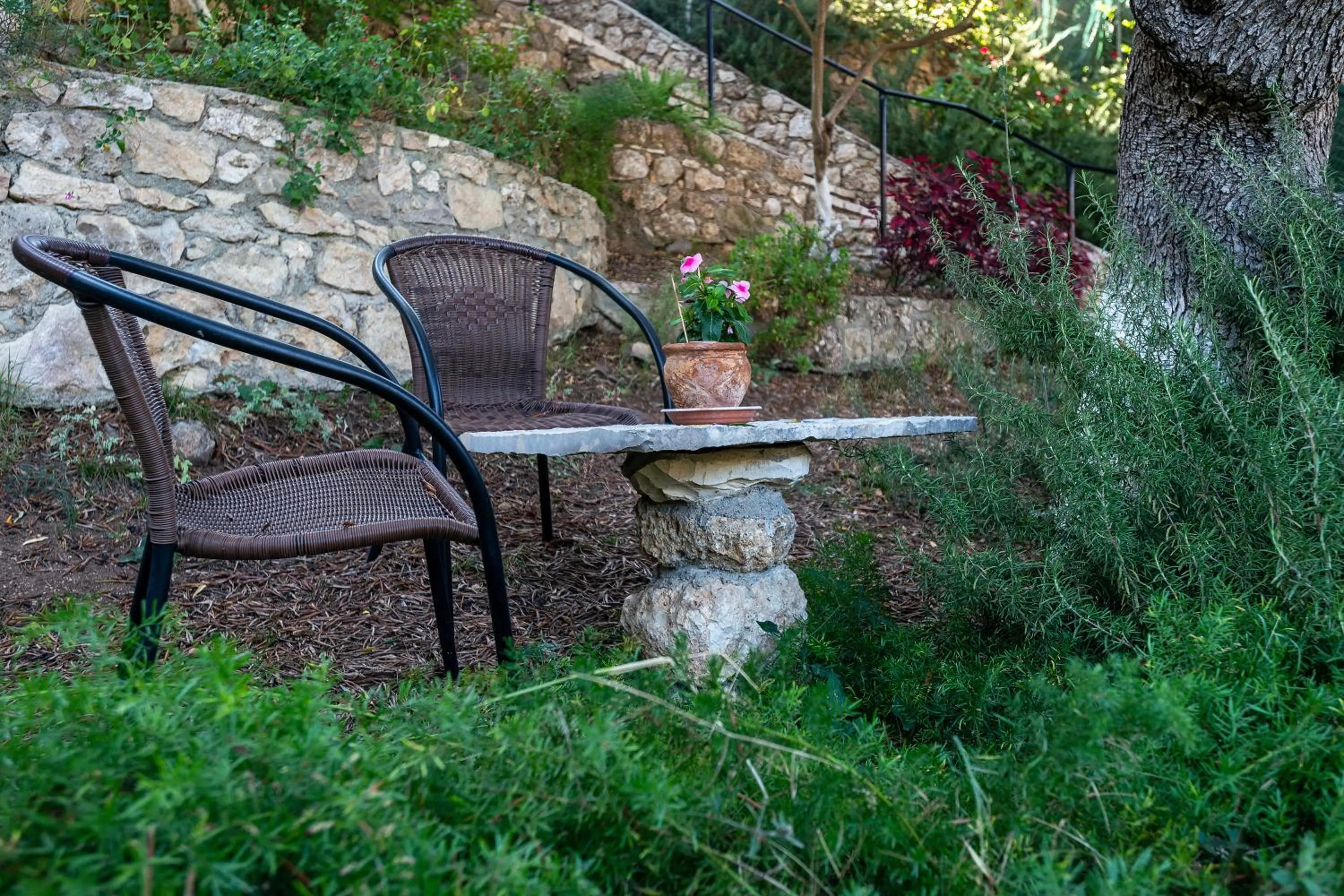 Garden in Hotel Oriana - Adults Only