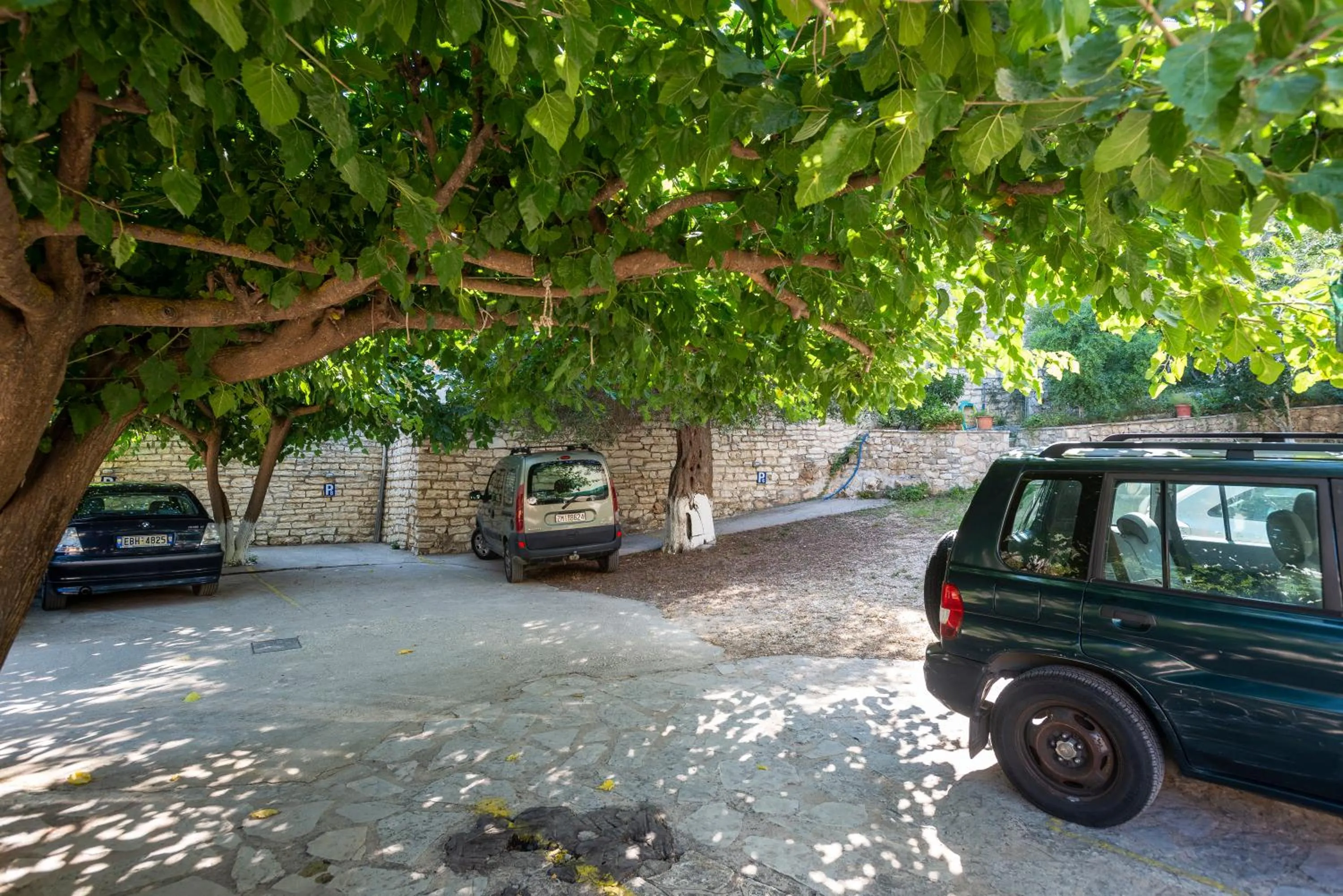 Area and facilities in Hotel Oriana - Adults Only