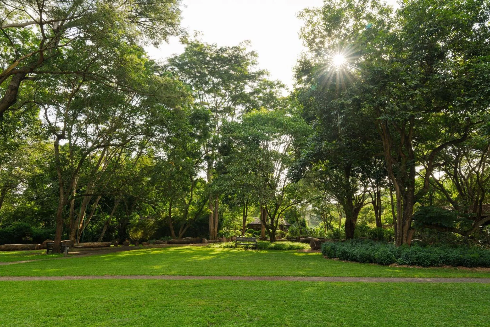 Garden in Rivertrees Country Inn