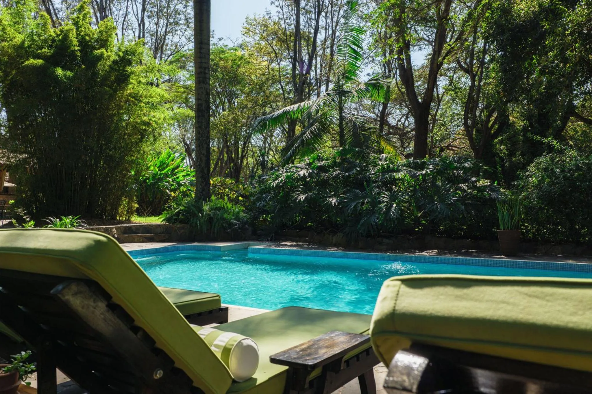 Summer in Rivertrees Country Inn