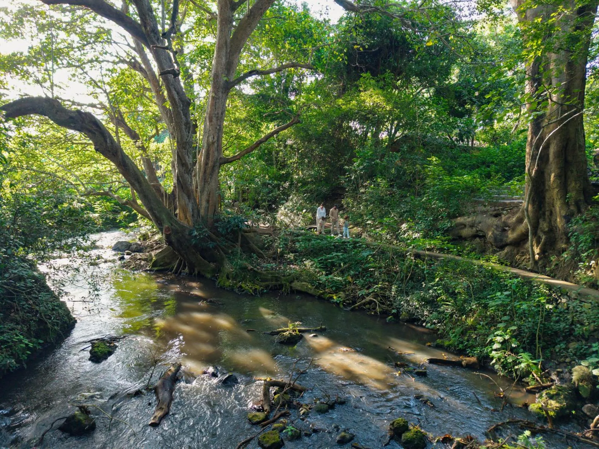 River view in Rivertrees Country Inn