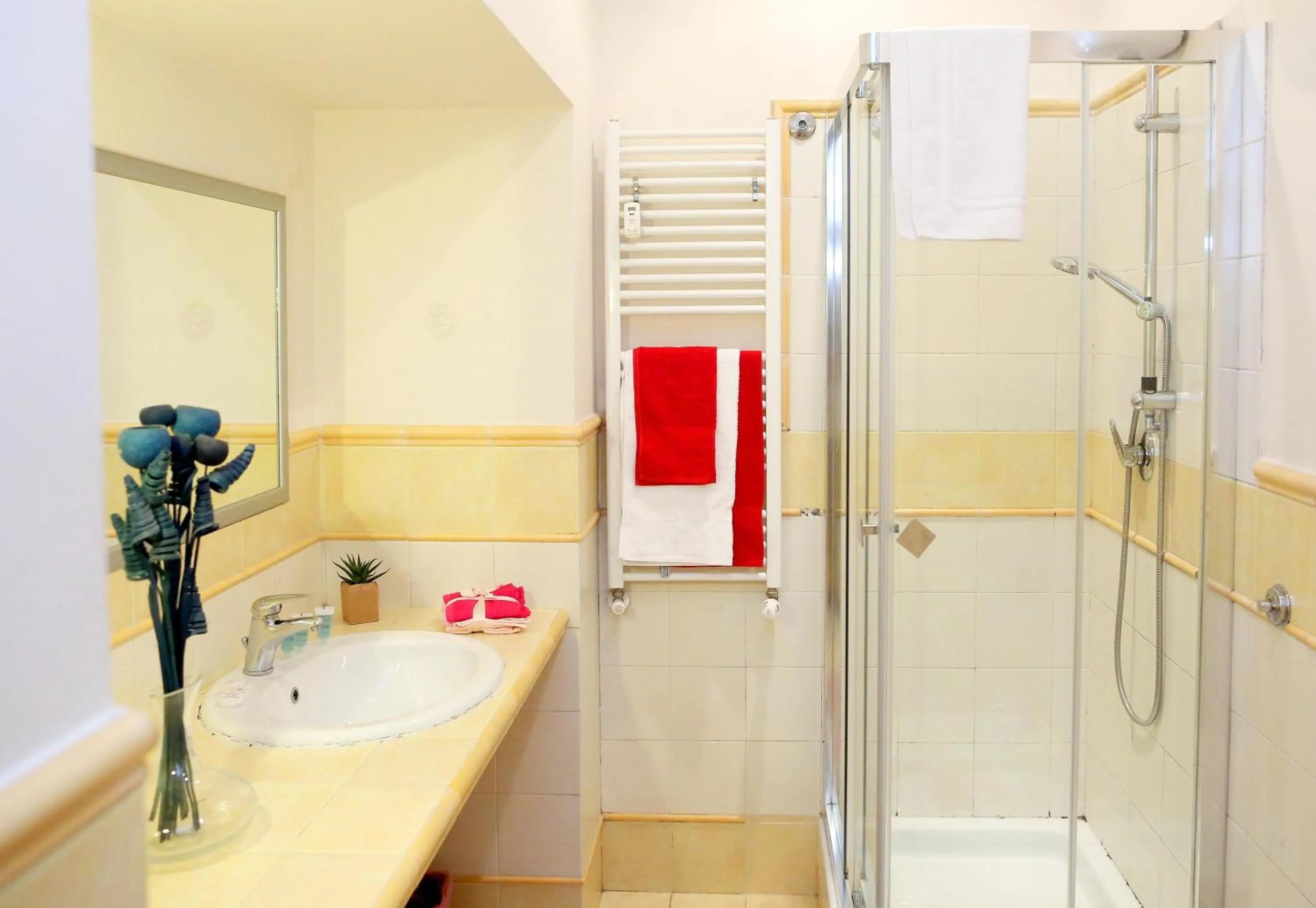 Bathroom in Apartment Felice