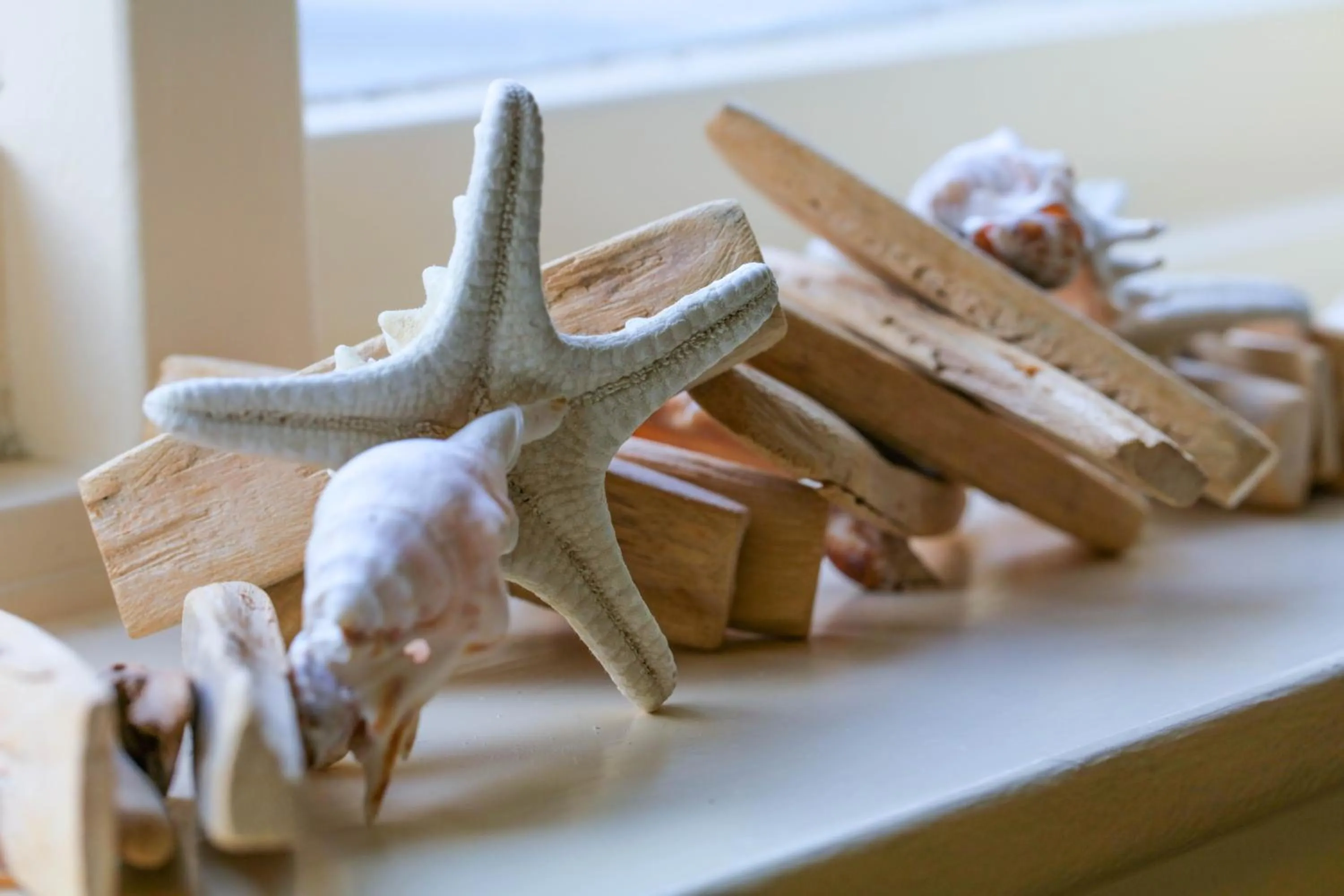 Decorative detail in Dolphin Hotel