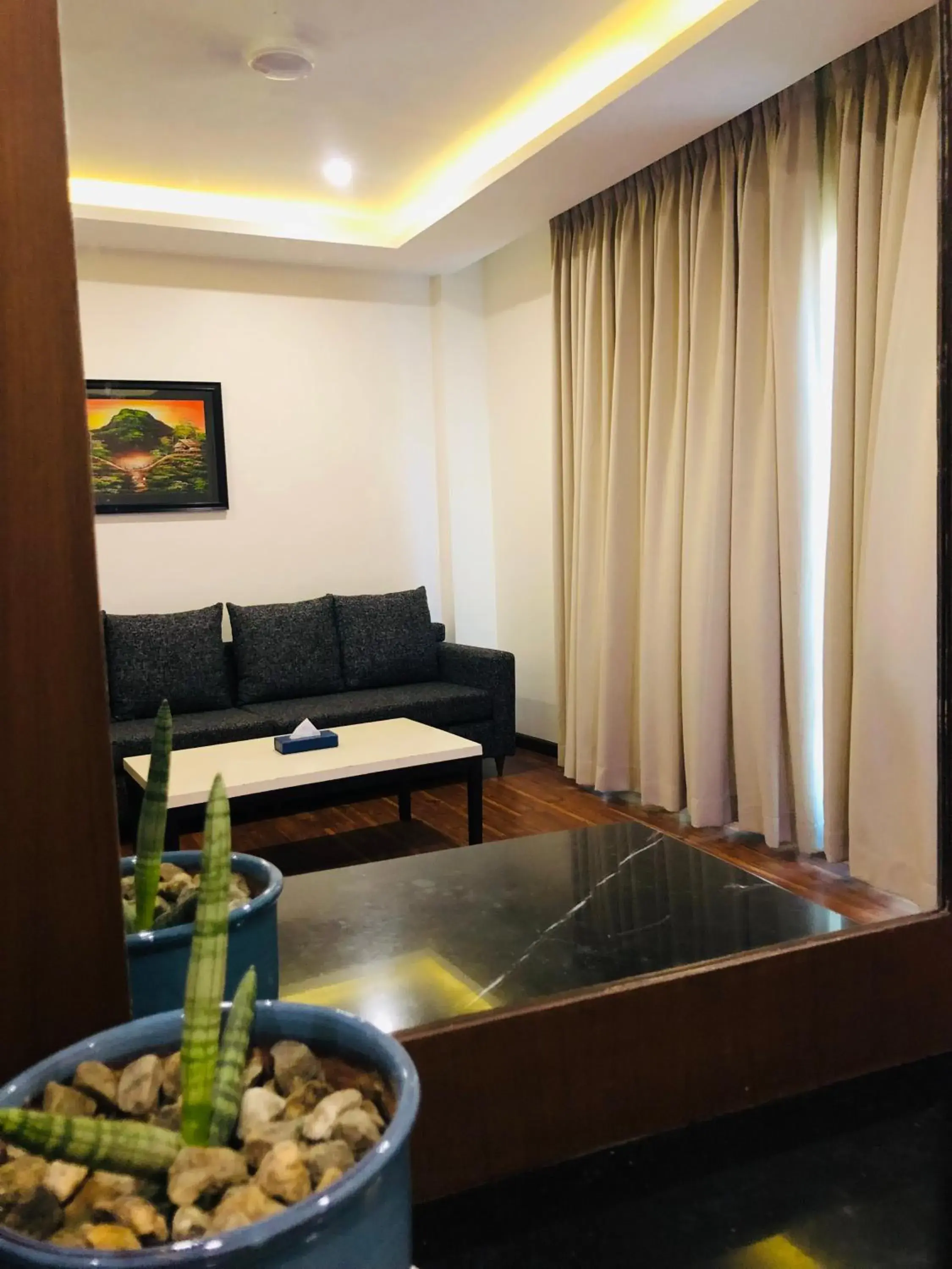 Junior Suite - single occupancy in Nepalirika Hotel Biratchowk Junior Suite - single occupancy in Nepalirika Hotel Biratchowk