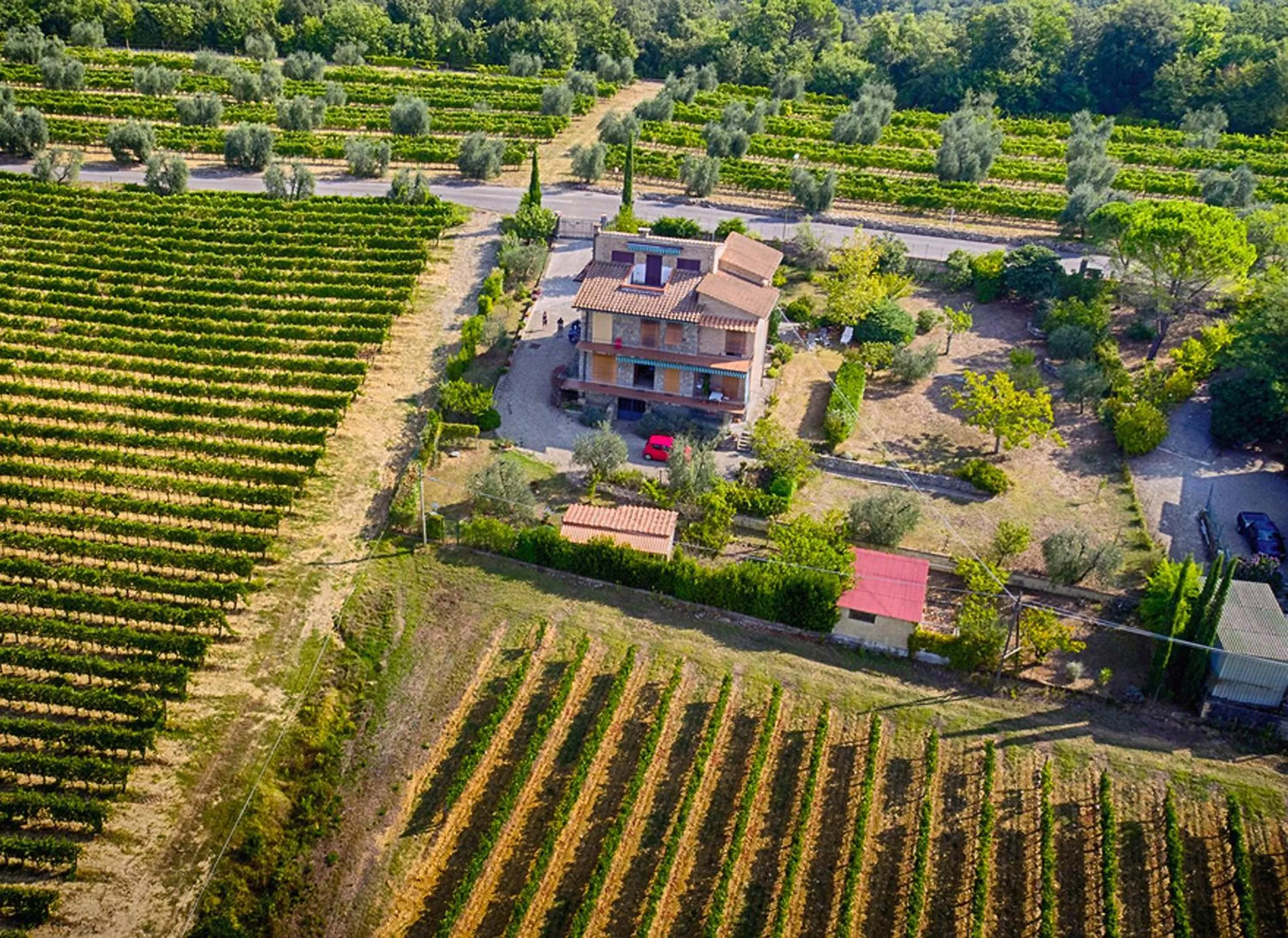 Bird's eye view in B&B Casa Certosa
