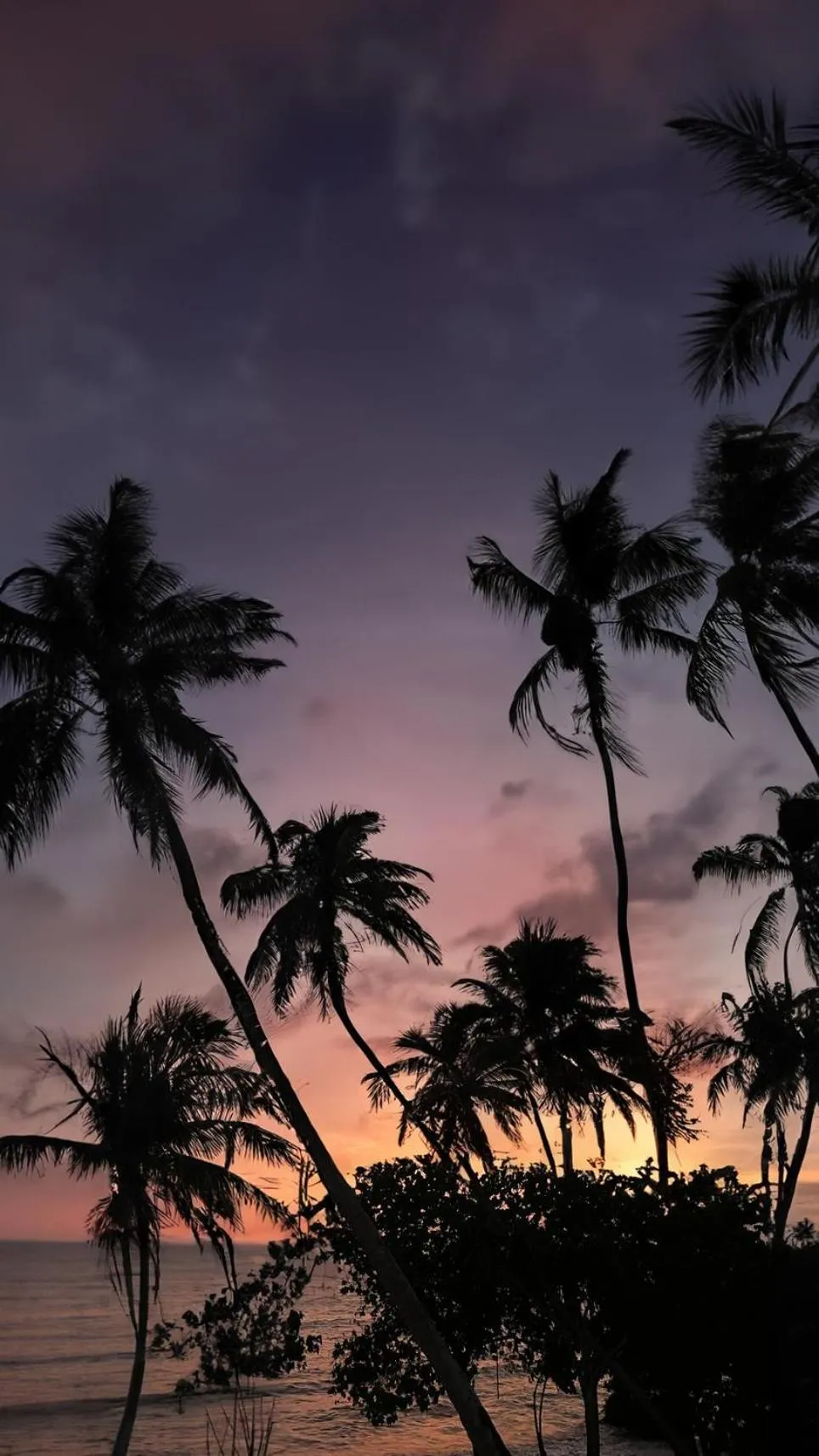 Sunrise in Ycona Eco-Luxury Resort, Zanzibar