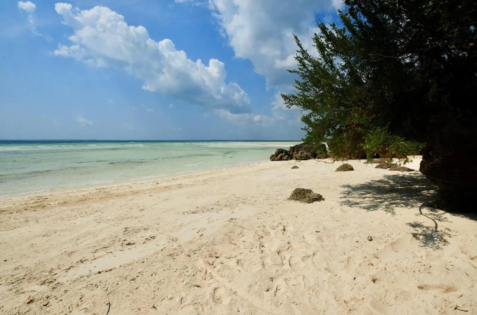 Beach in Ycona Eco-Luxury Resort, Zanzibar