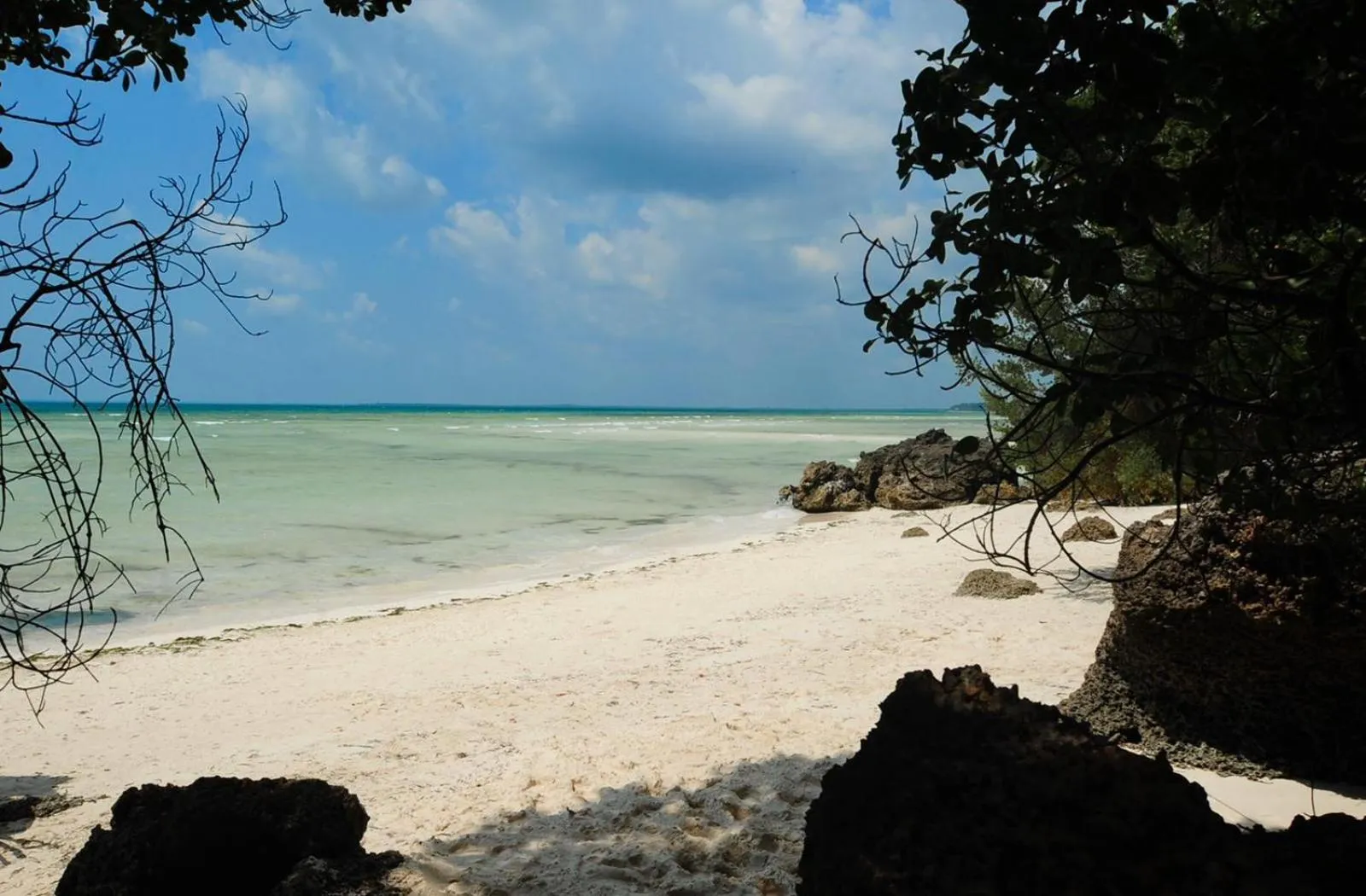 Beach in Ycona Eco-Luxury Resort, Zanzibar