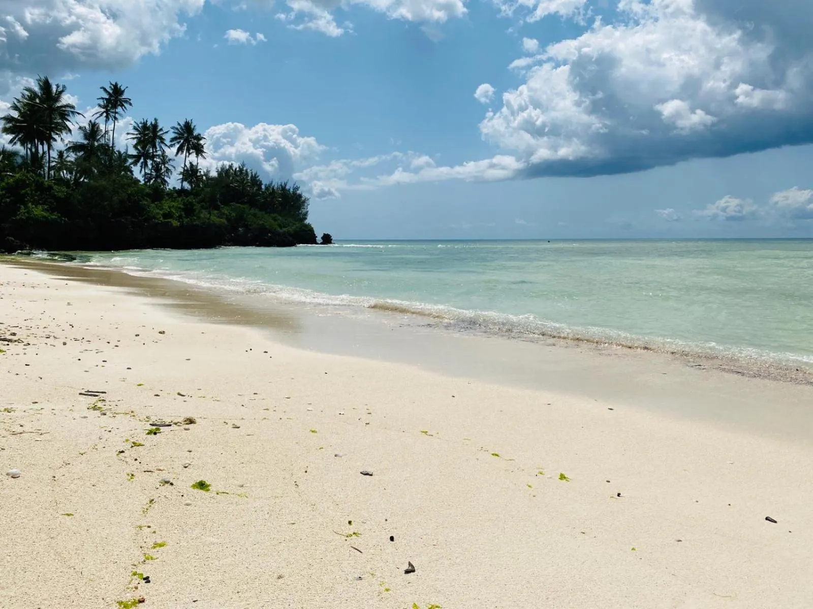 Beach in Ycona Eco-Luxury Resort, Zanzibar