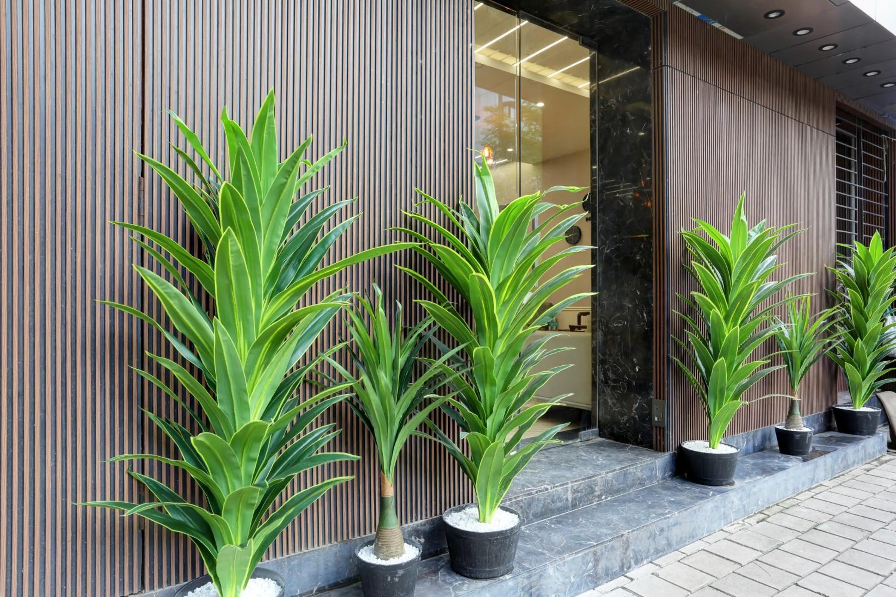 Facade/entrance in Hotel Ozone Inn Colaba