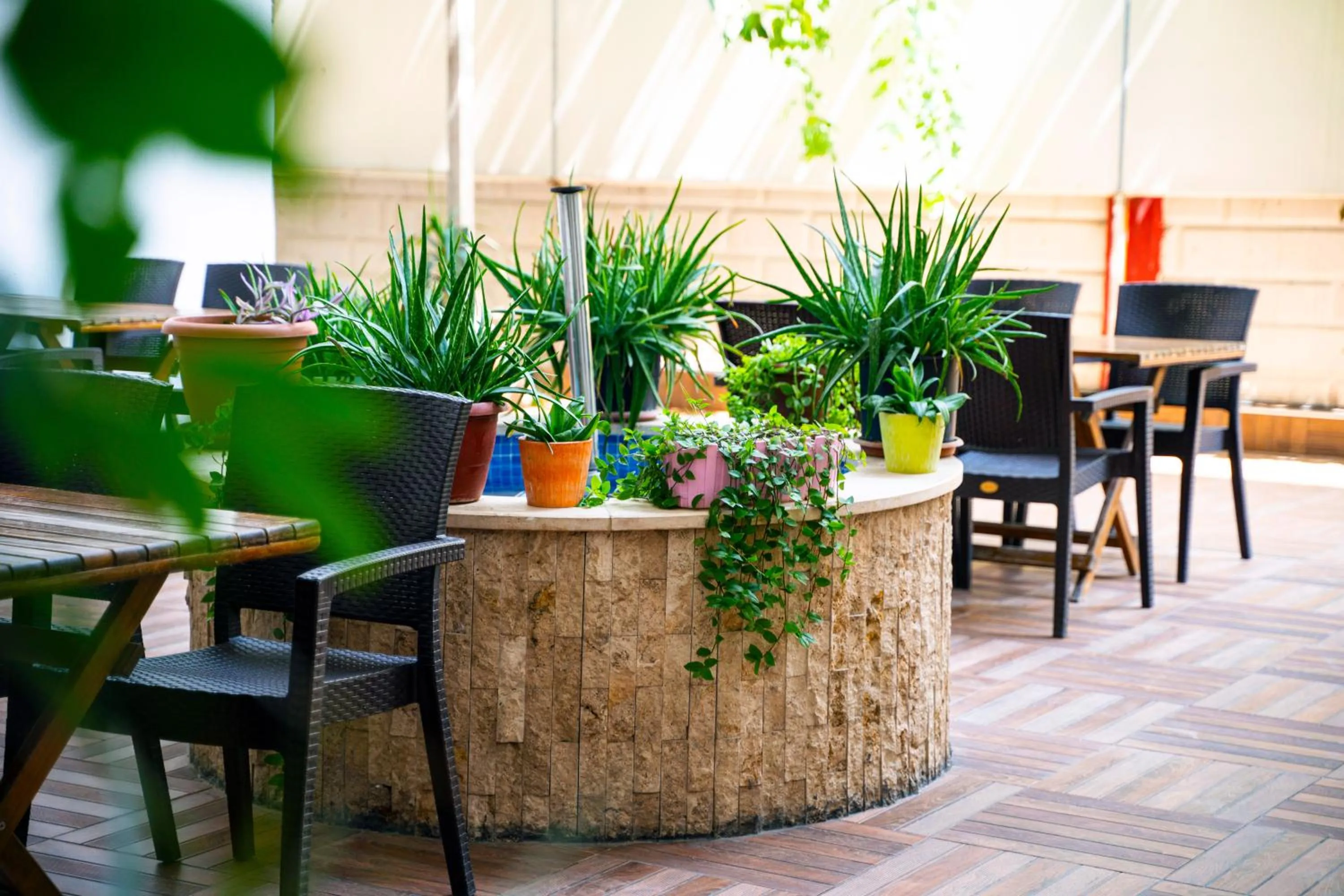 Restaurant/places to eat in Sirin Residence