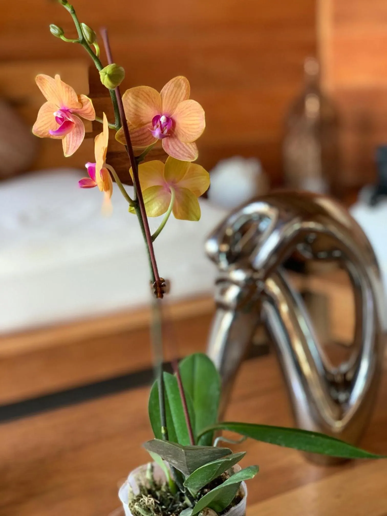 Decorative detail in La Playa