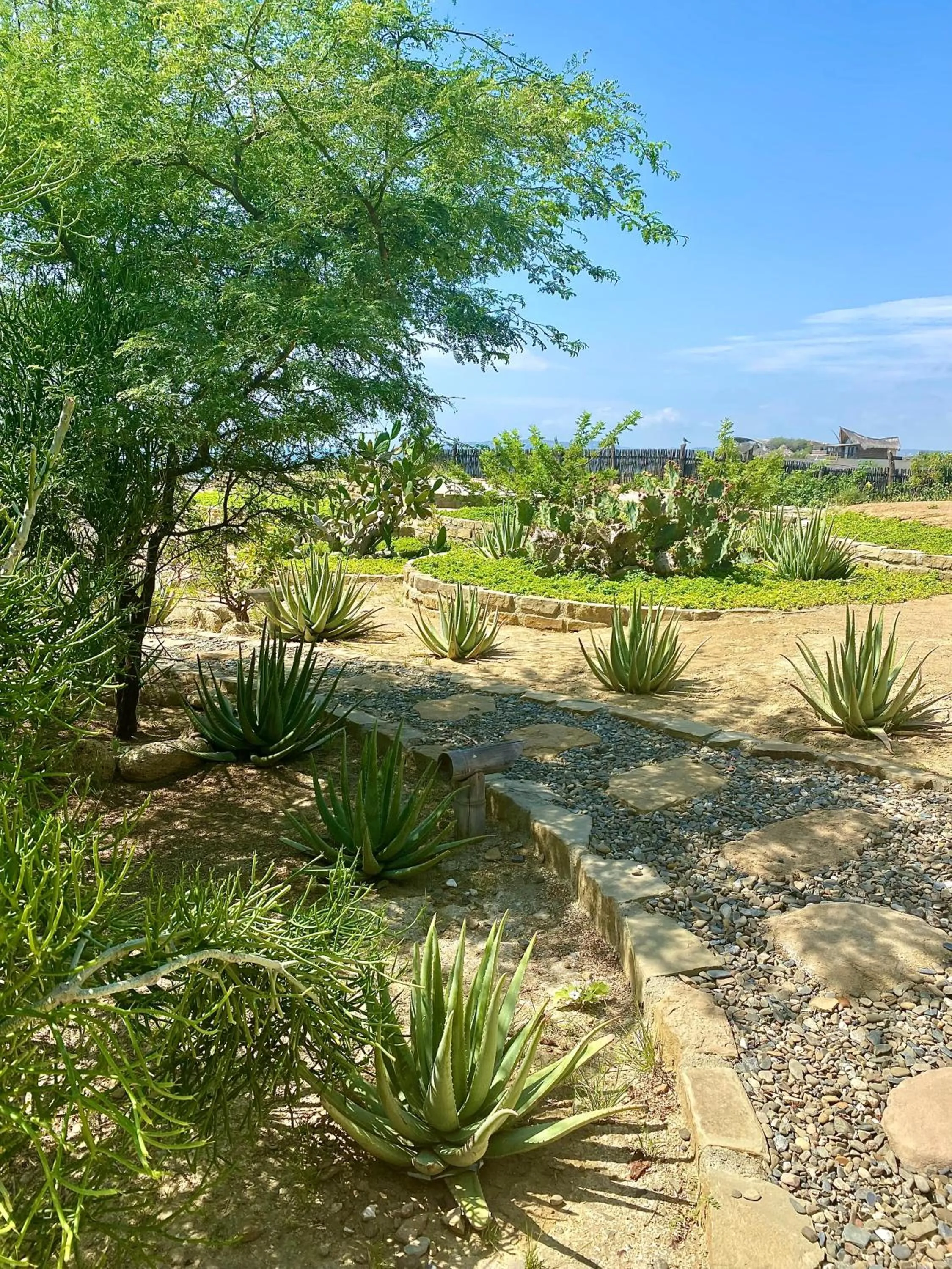 Sea view in La Playa