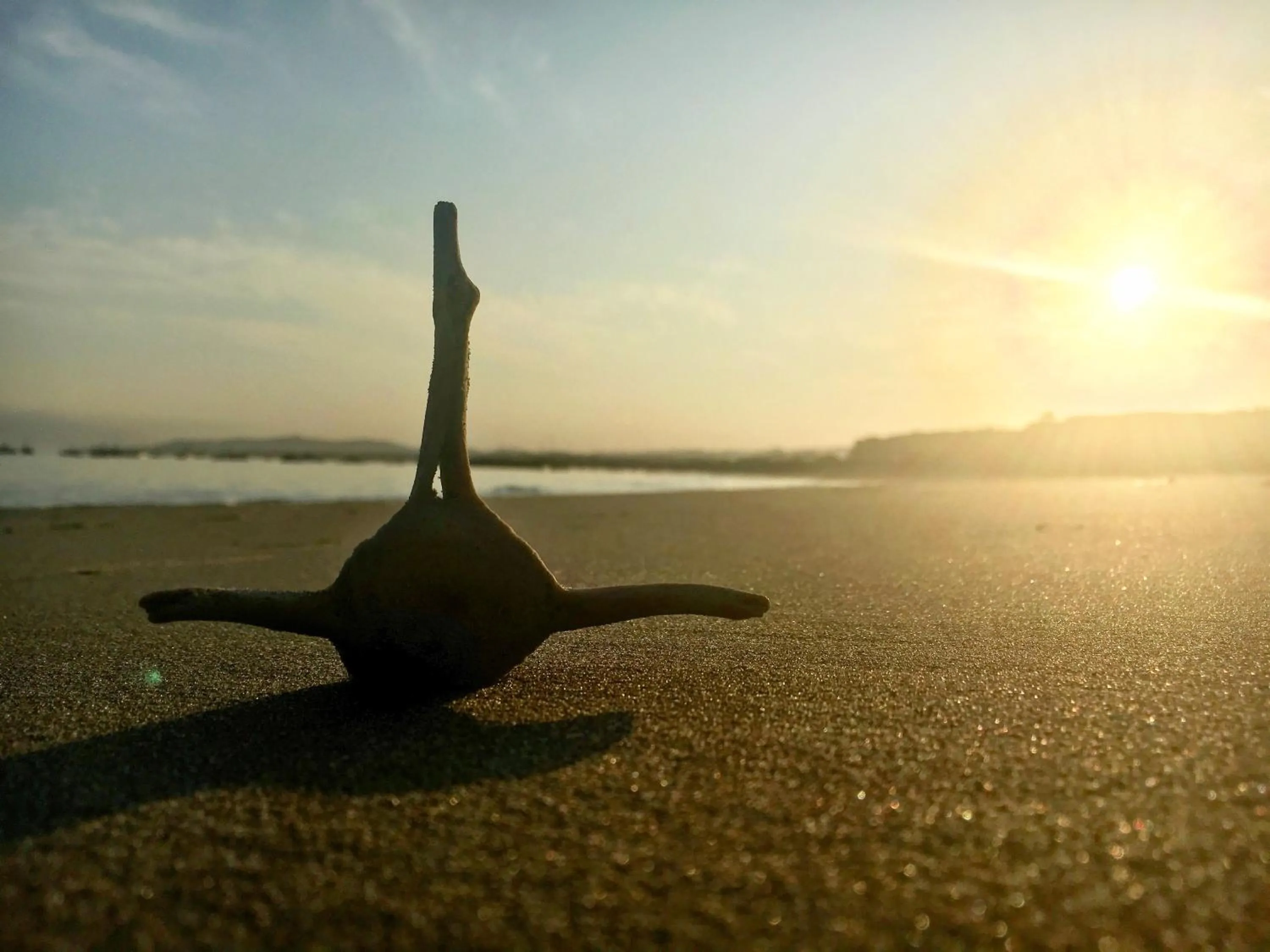 Sea view in La Playa