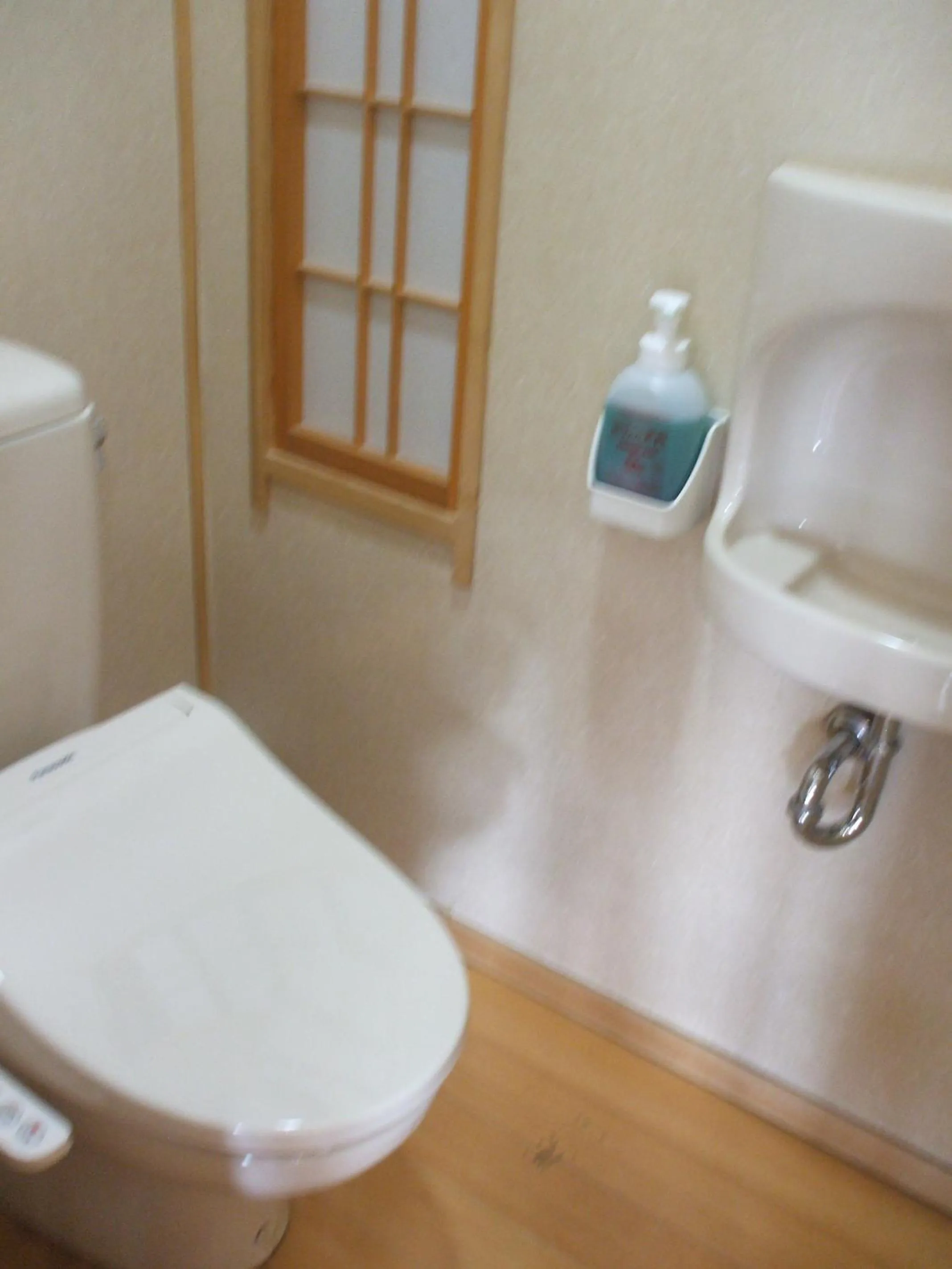 Toilet in Annex Fujiya Ryokan