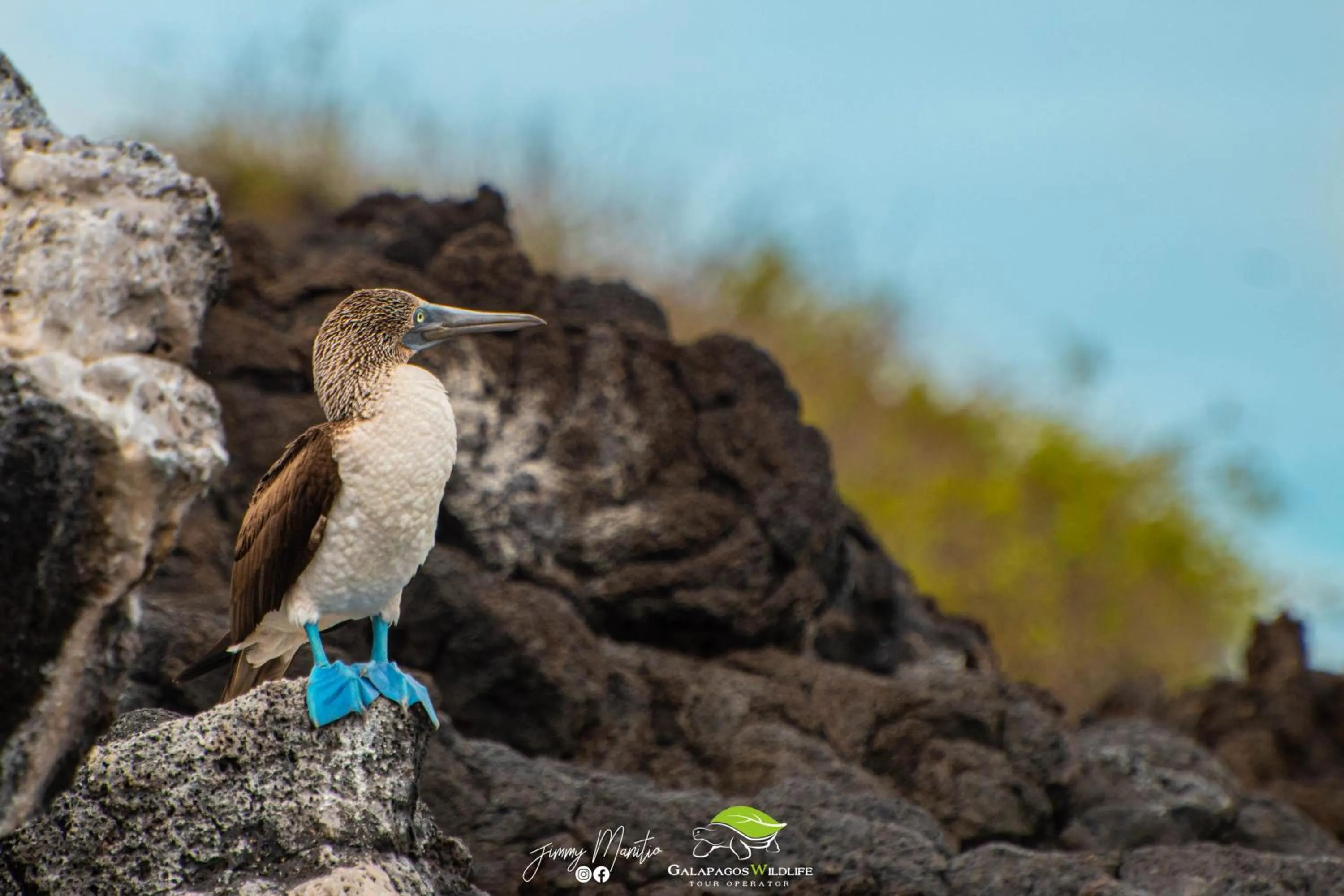 Natural landscape in Carliza Nature Lodge