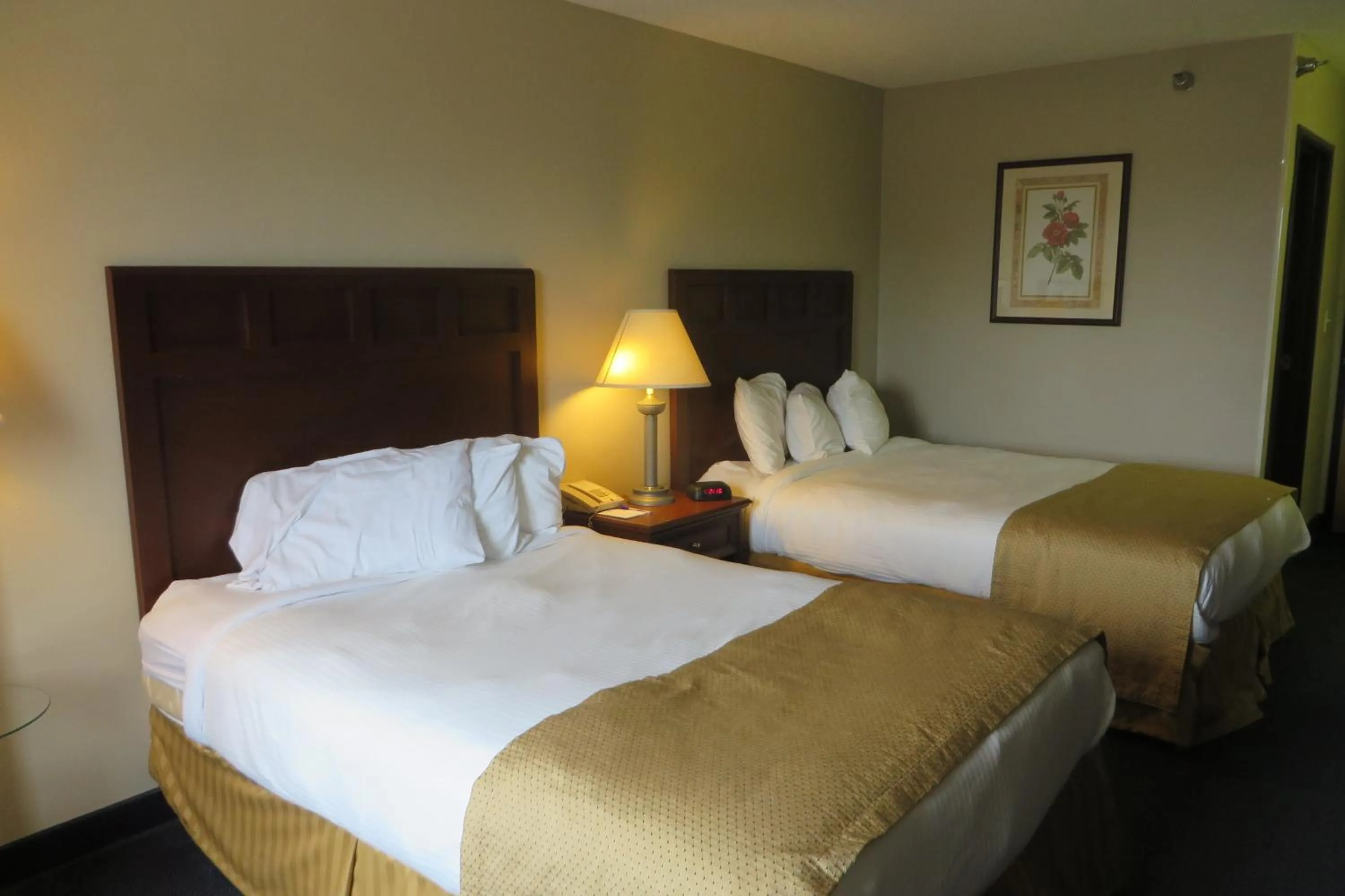 Bed in Baymont by Wyndham Boone