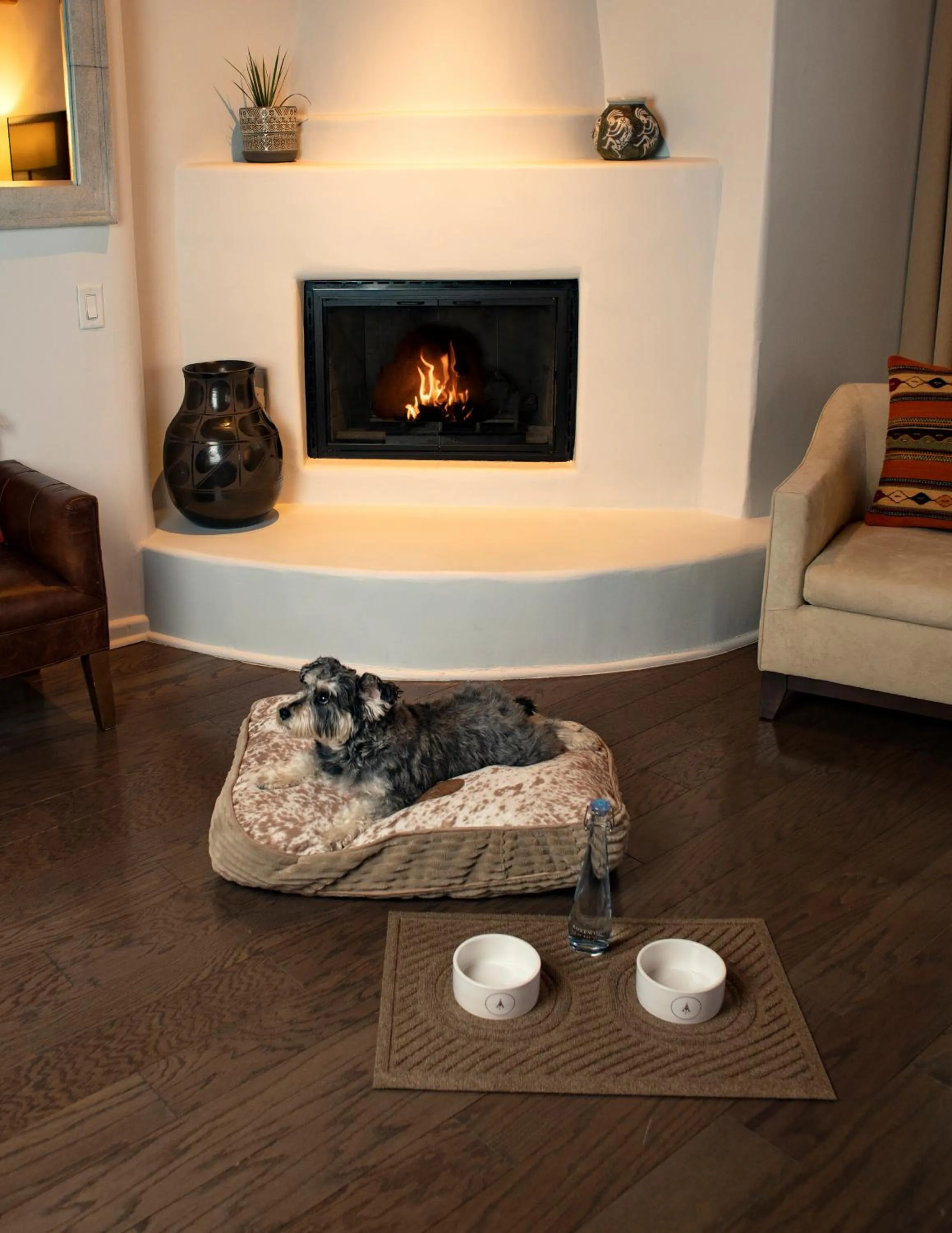 Pets in Rosewood Inn of the Anasazi