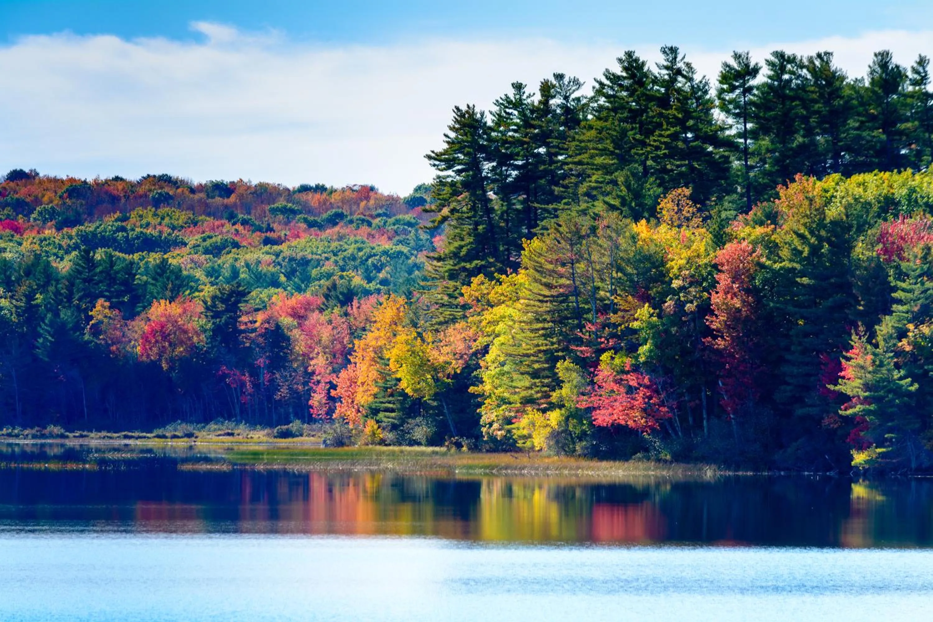 Lake view in Wolf Cove Inn