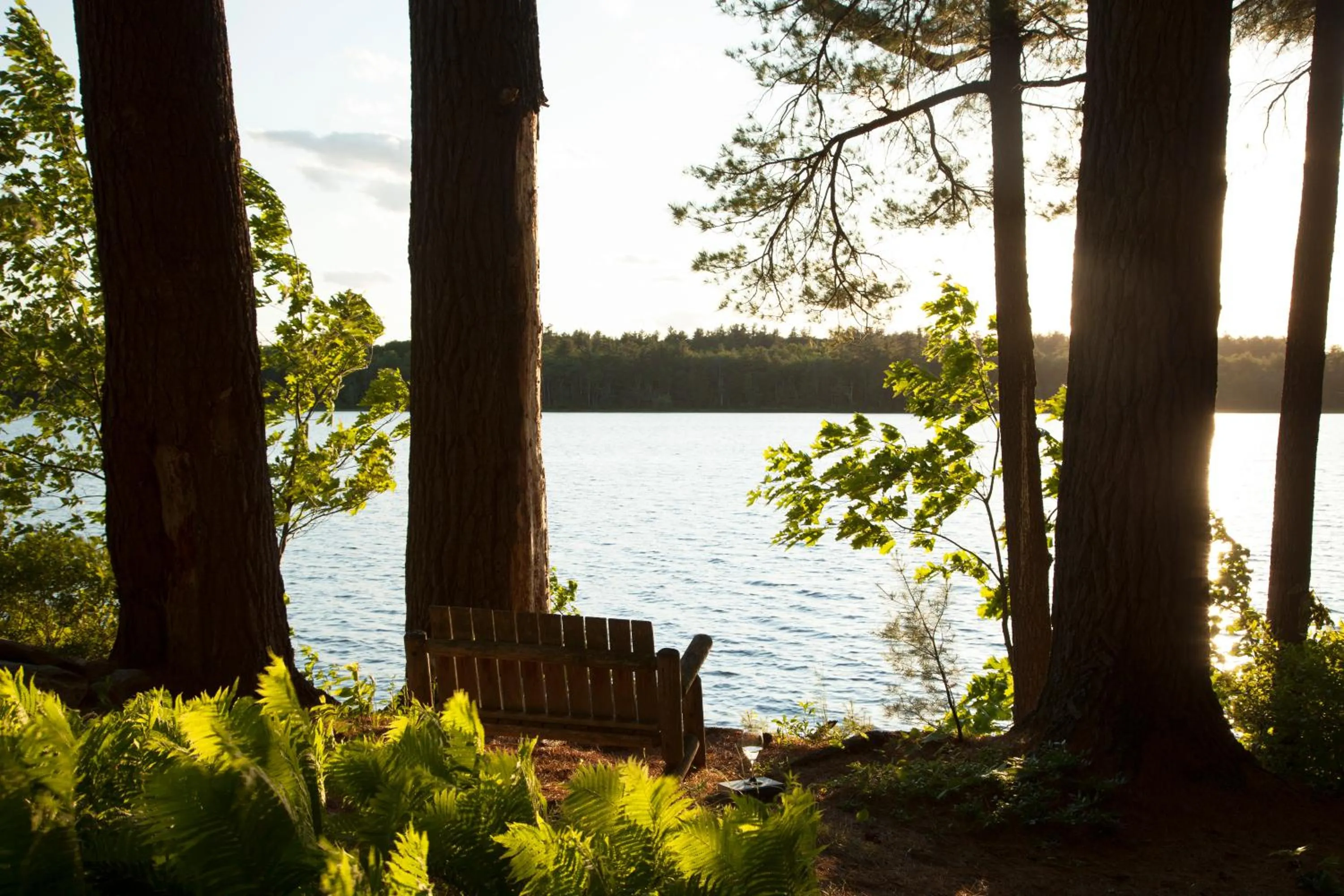 View (from property/room) in Wolf Cove Inn