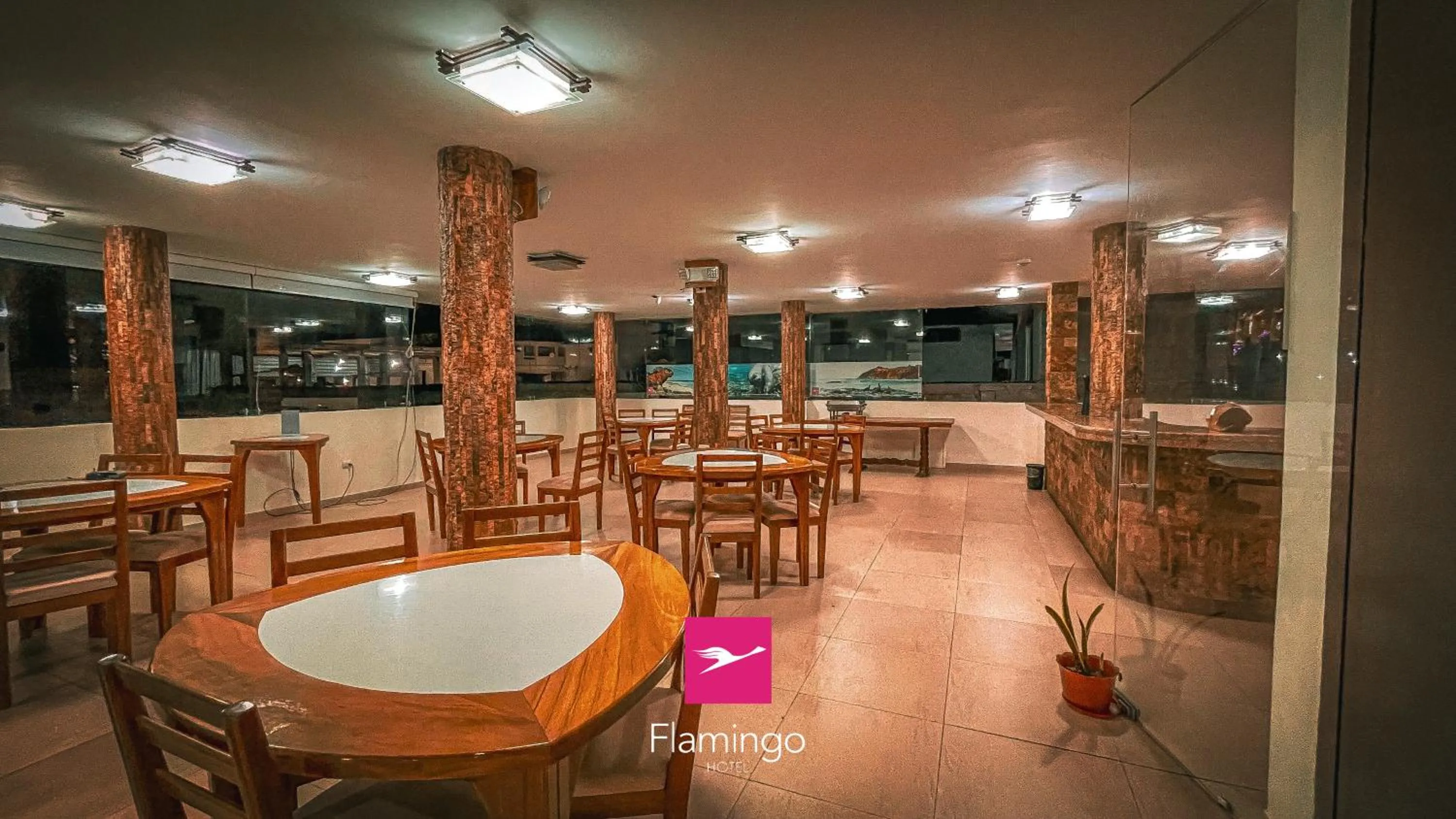 Restaurant/places to eat in Hotel Flamingo