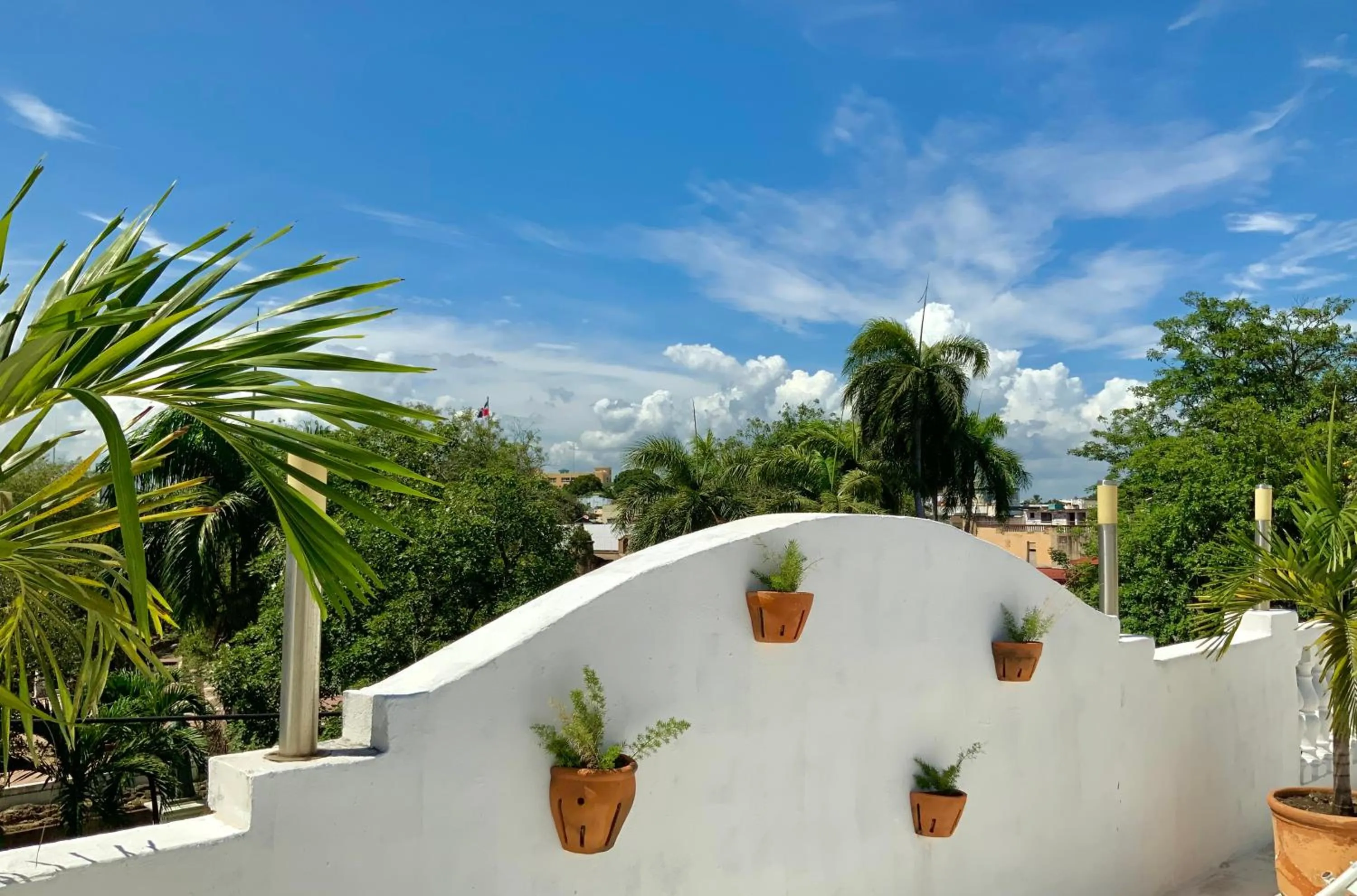 Garden view in MOKA HOUSE