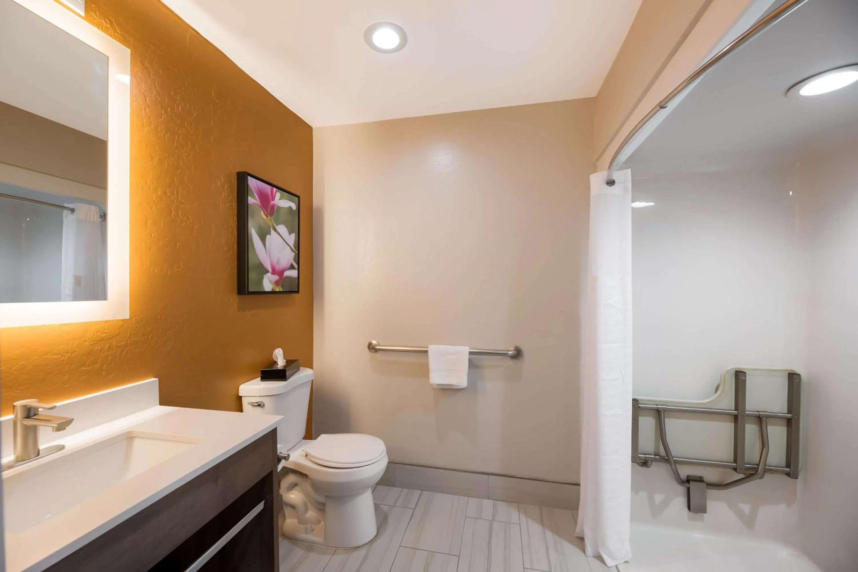 Bathroom in Best Western Bellemont Shadow Mountain Inn
