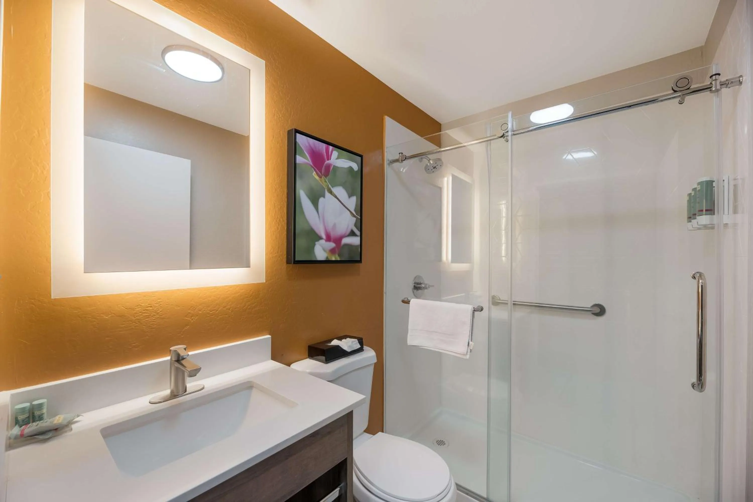 Shower in Best Western Bellemont Shadow Mountain Inn