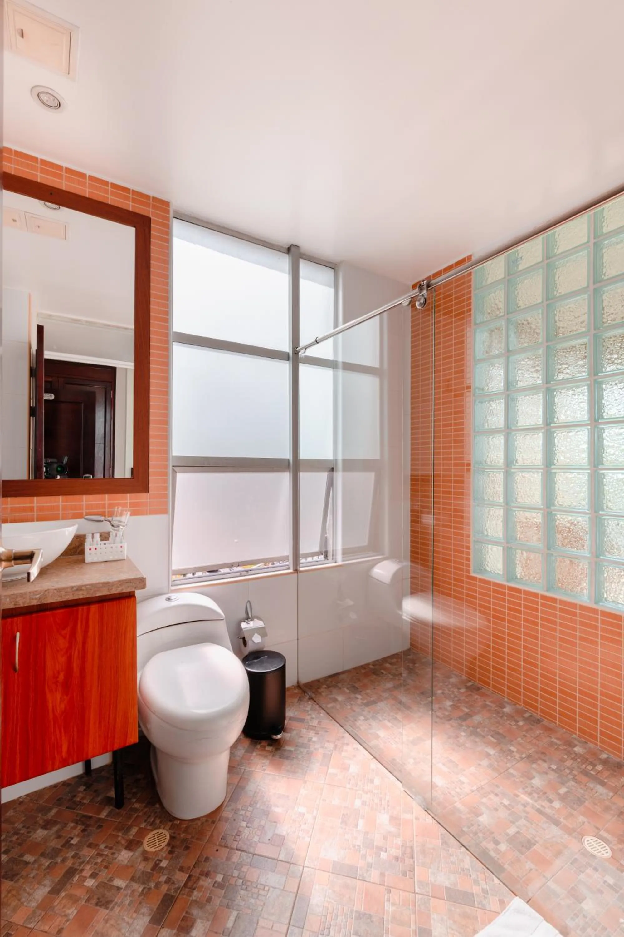 Shower in Hotel Parque 63