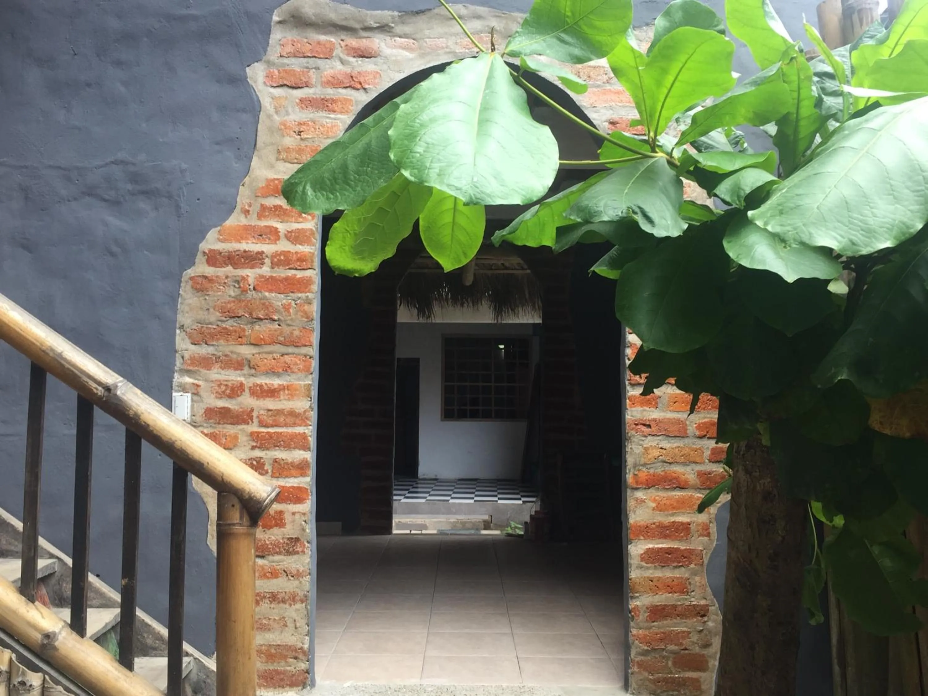 Garden view in La Facha Hostal Restaurant Surf