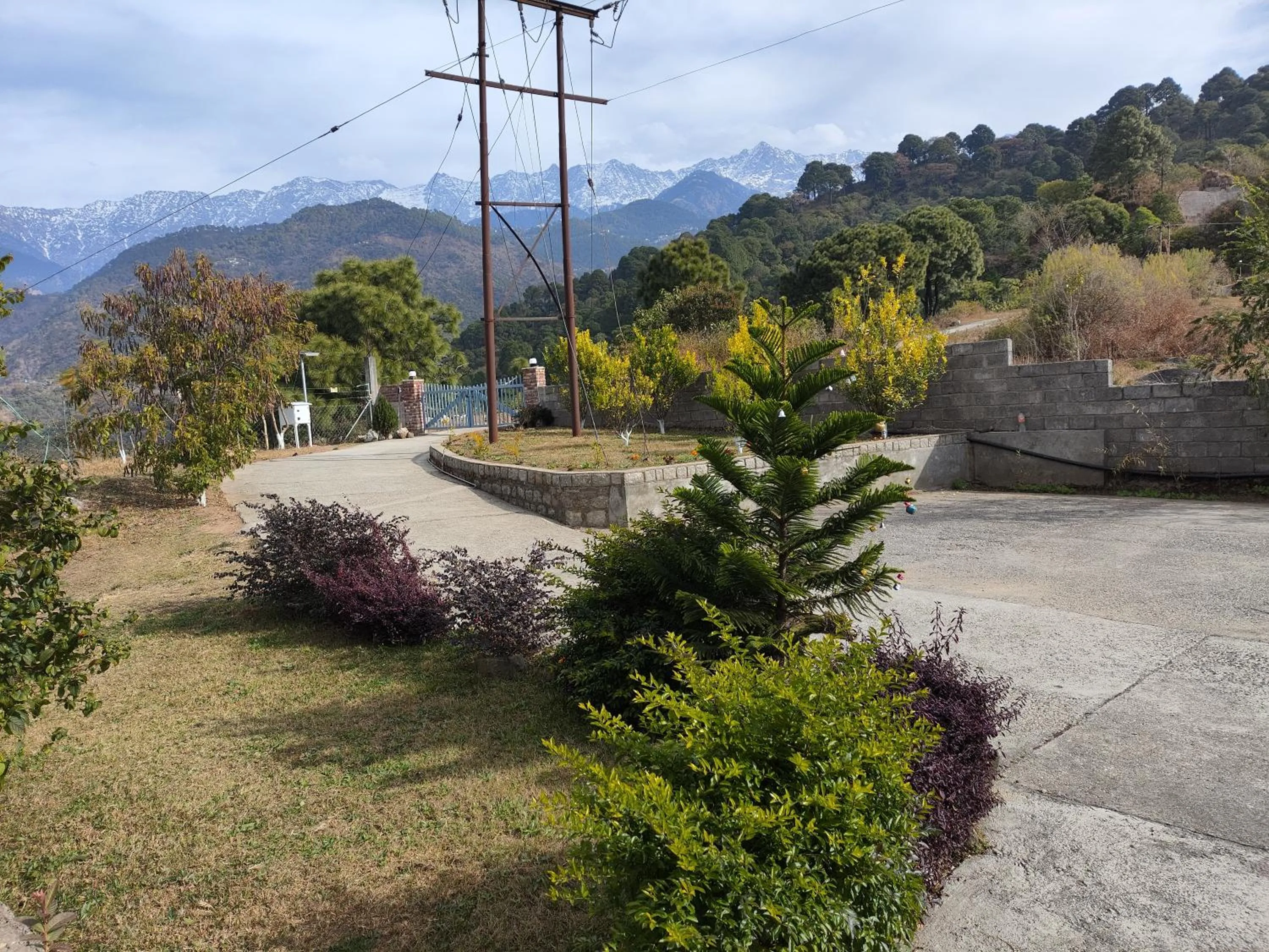 Facade/entrance in Dhauladhar View Village Resort
