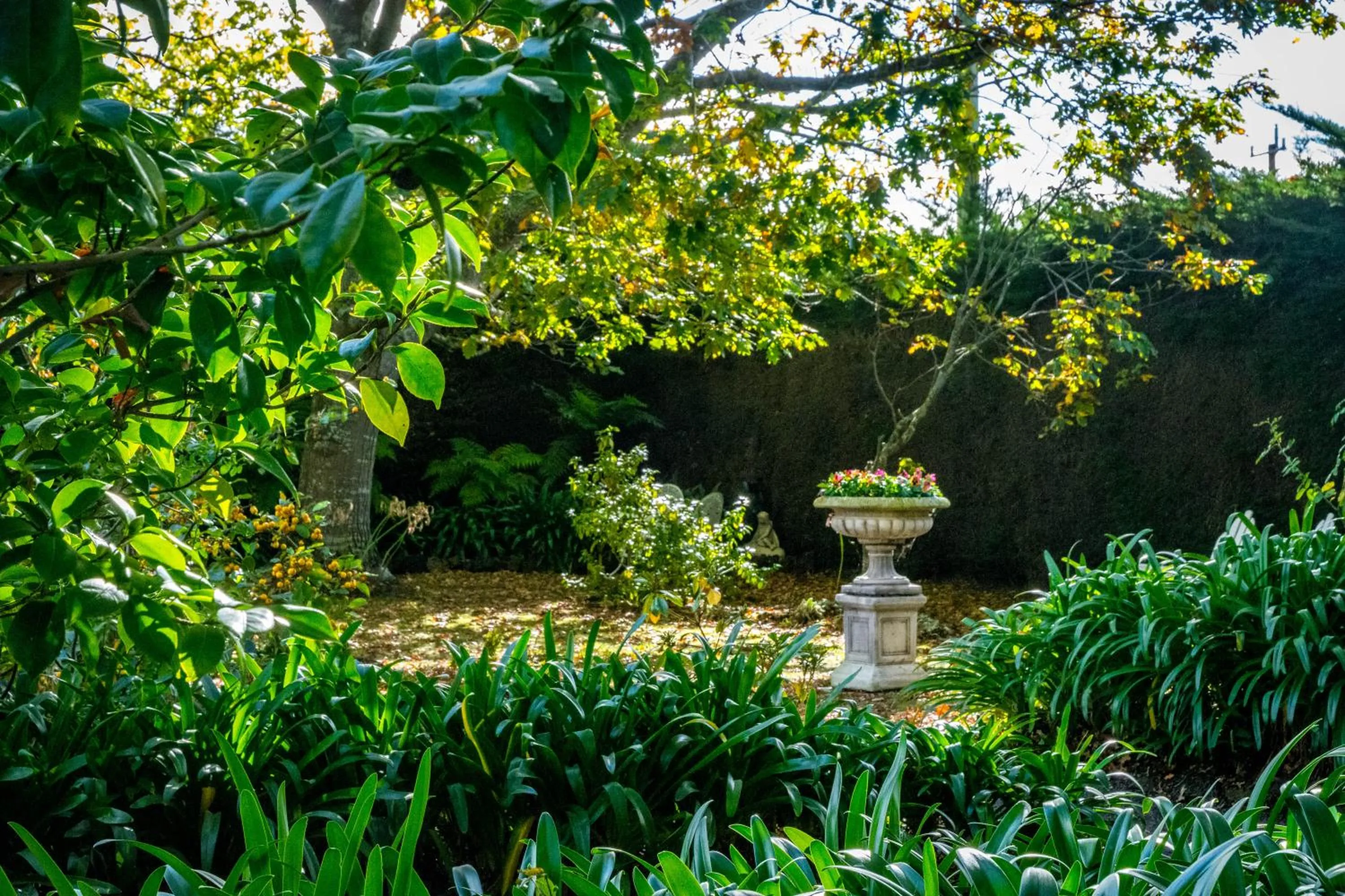 Garden in Heytesbury House